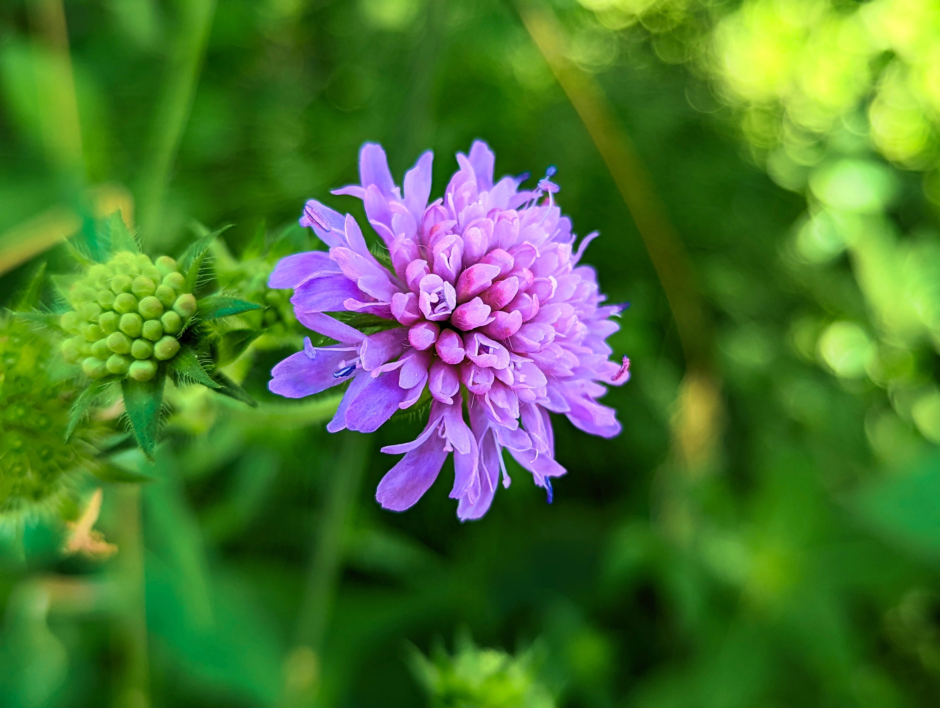 &hellip; mit Zoom&hellip;