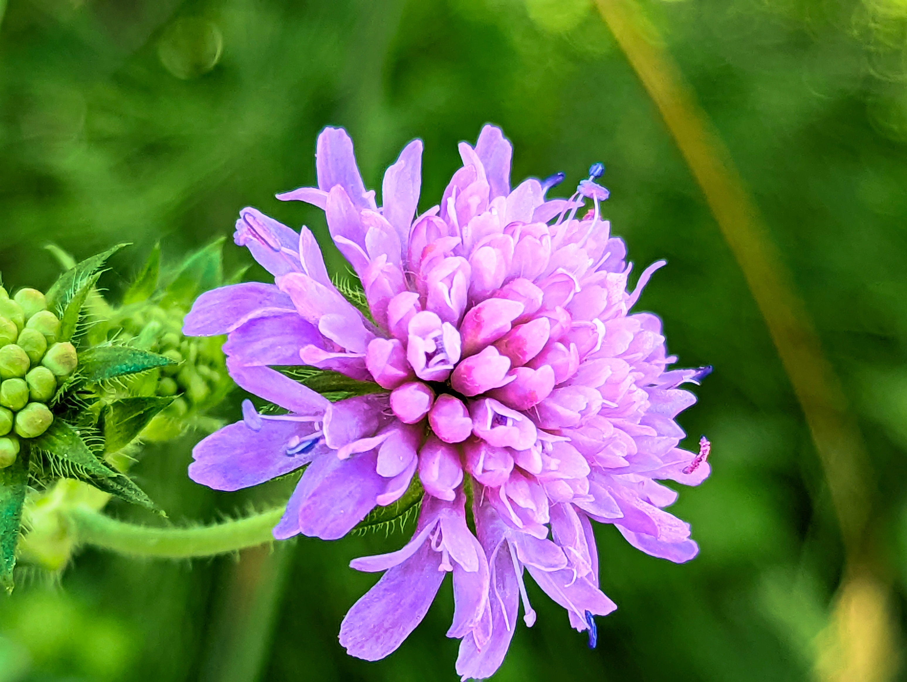 &hellip; und noch mehr Zoom.