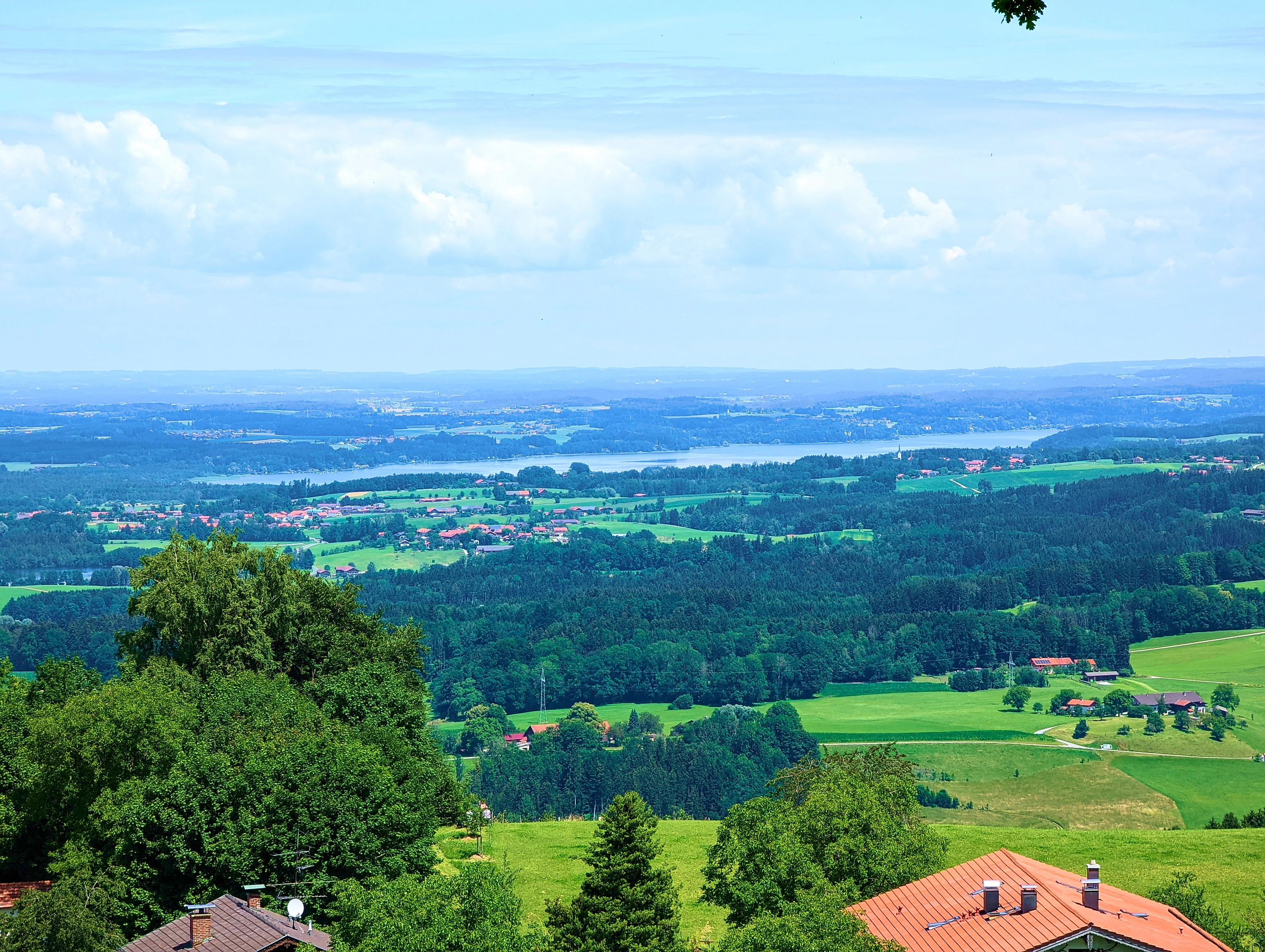 Ausblick Luitpoldeiche