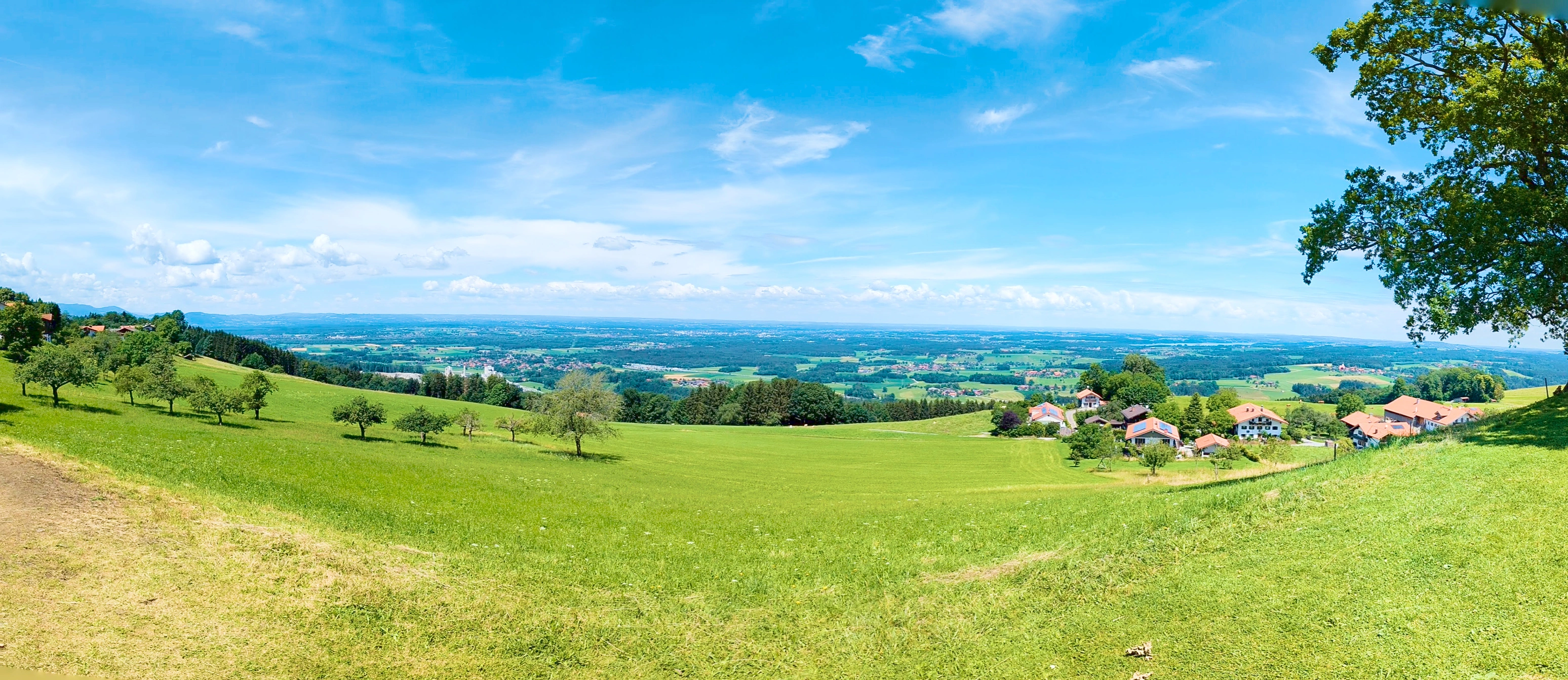 Panorama-Ausblick Luitpoldeiche