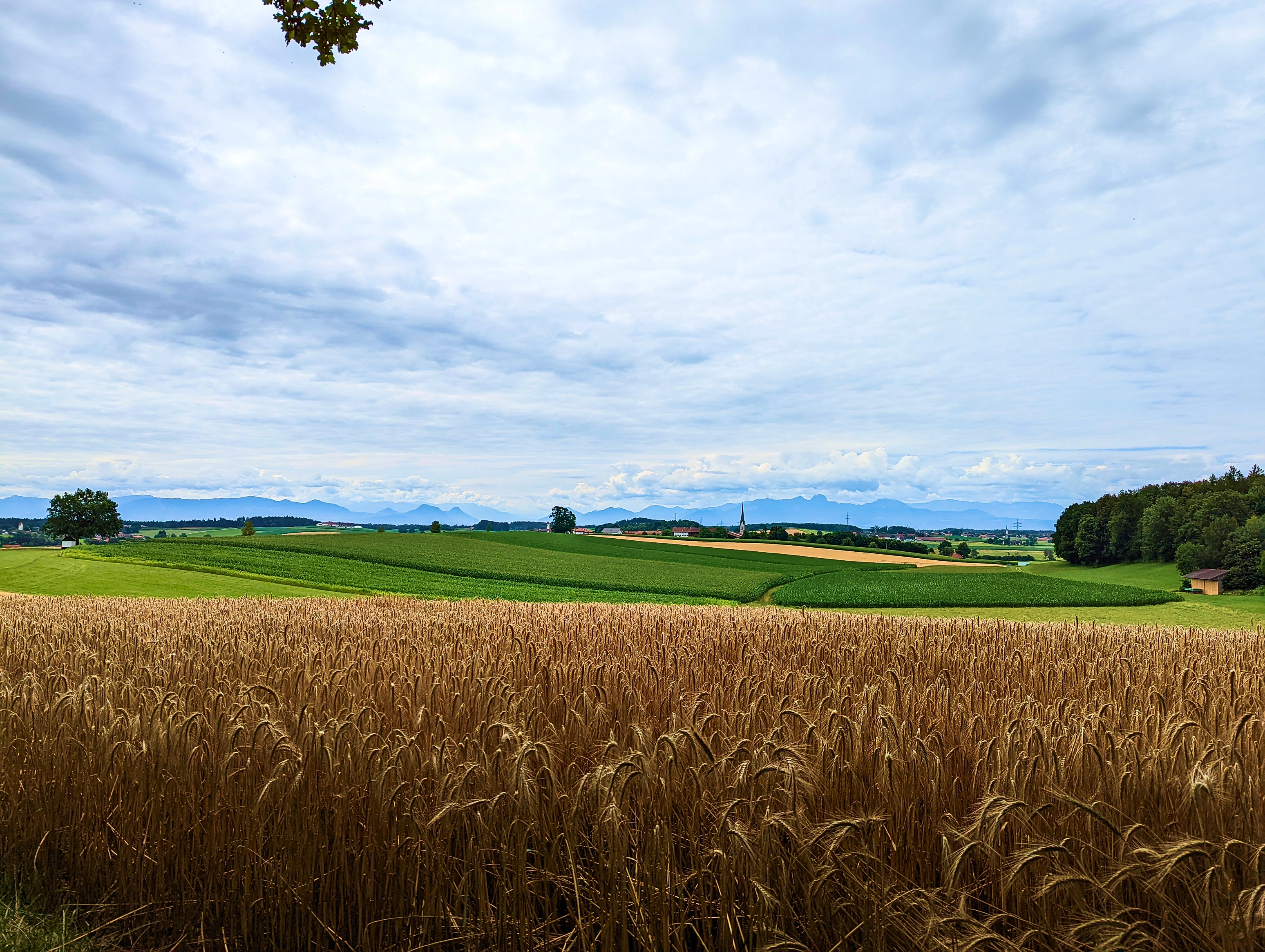 Ausblick am Aussichtspunkt