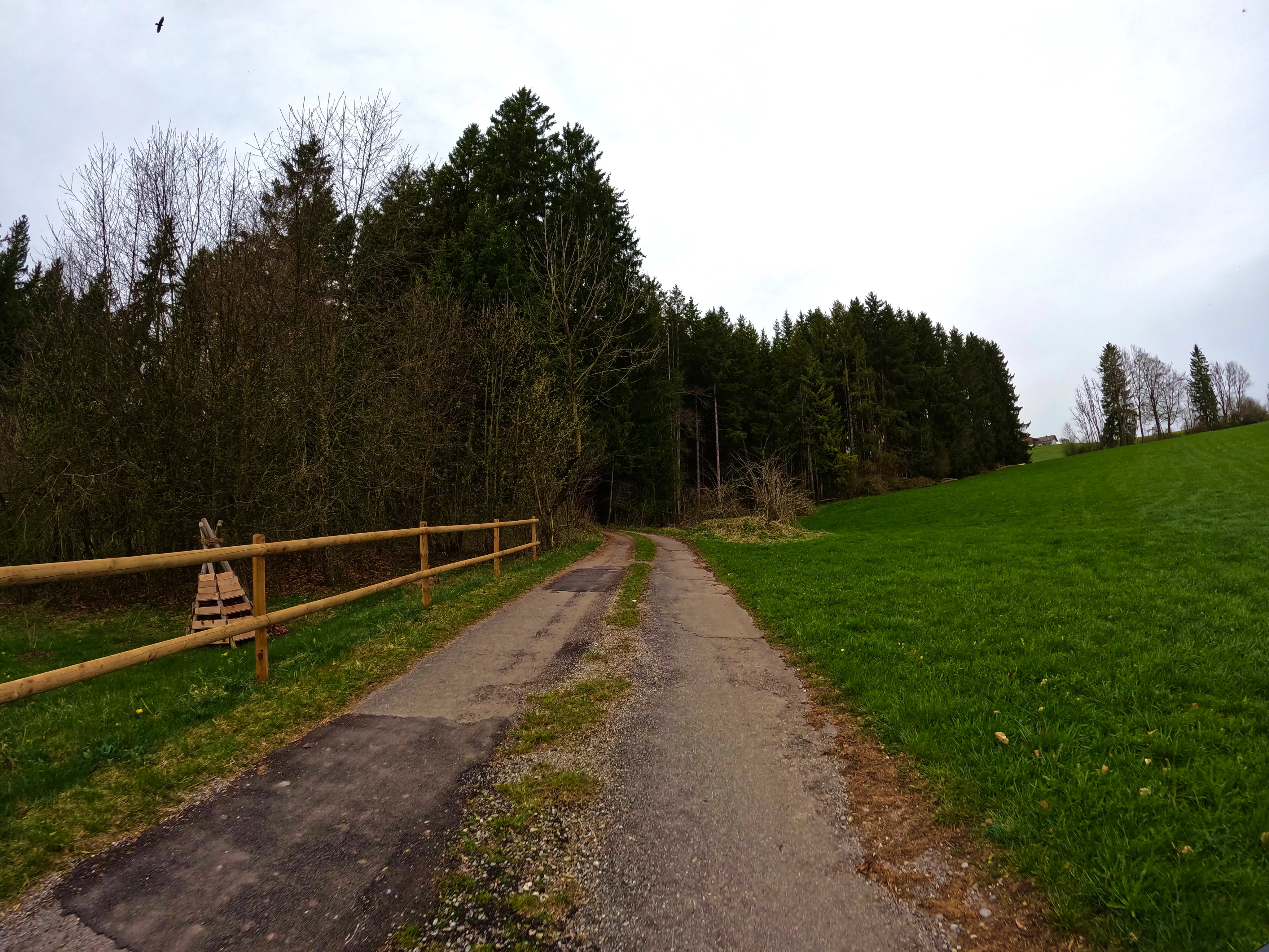 Neue Wege &hellip;
