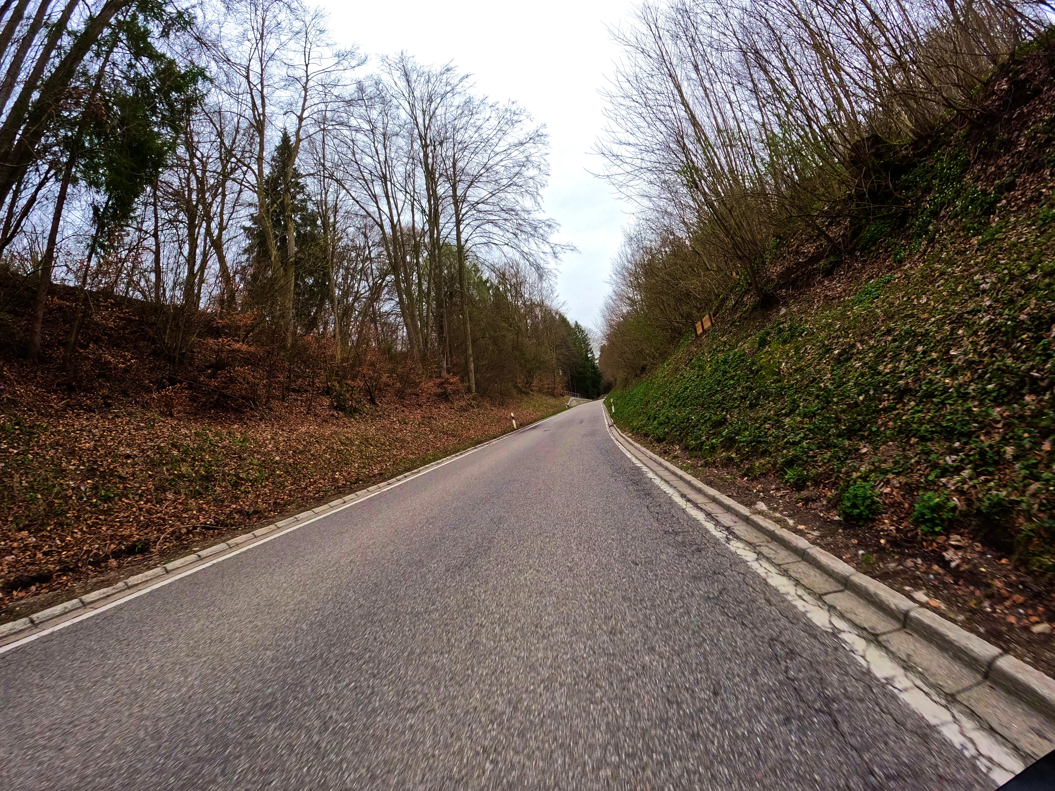 Noch viel altes Laub