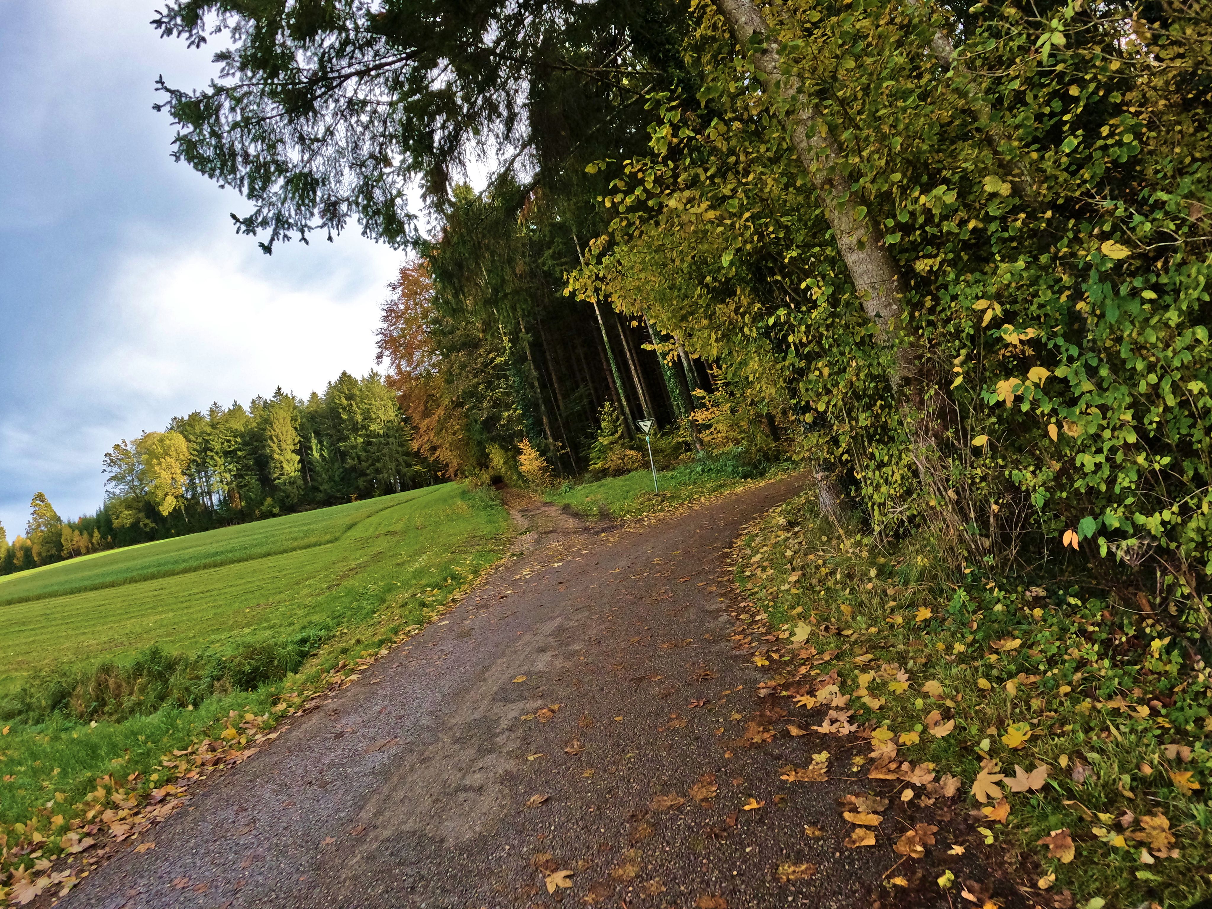 &hellip; über &hellip;