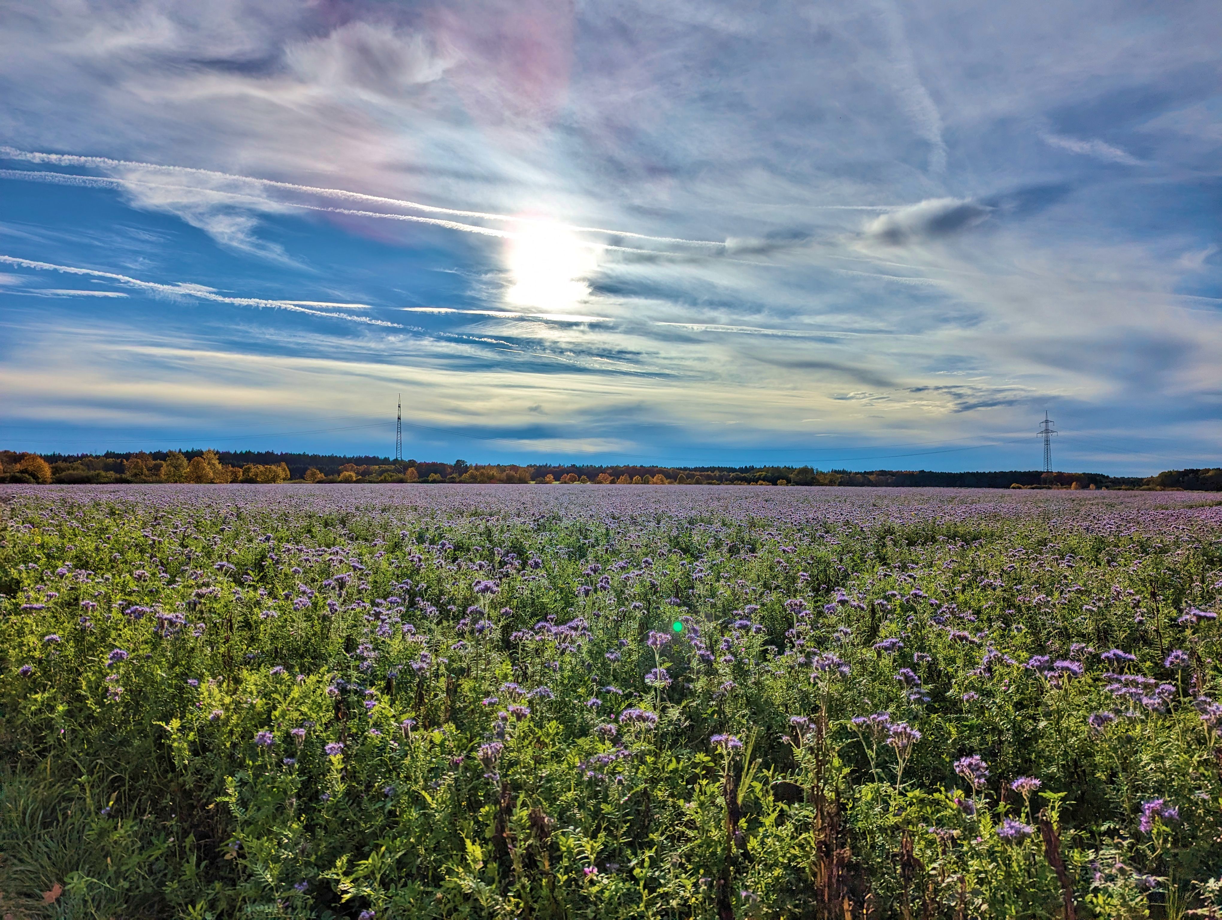 Zur Abwechslung mal: lila