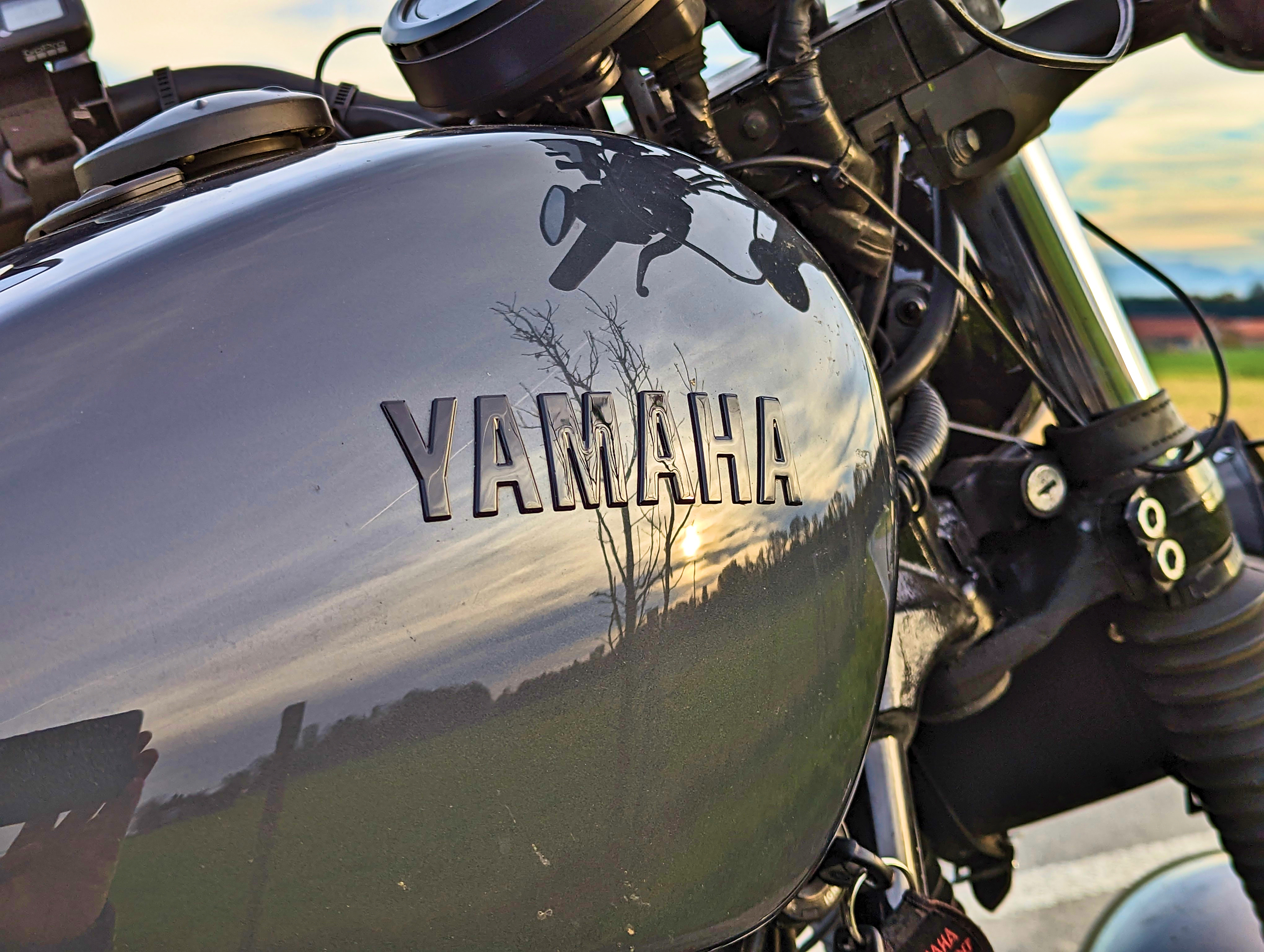 Kunst im dreckigen Tank