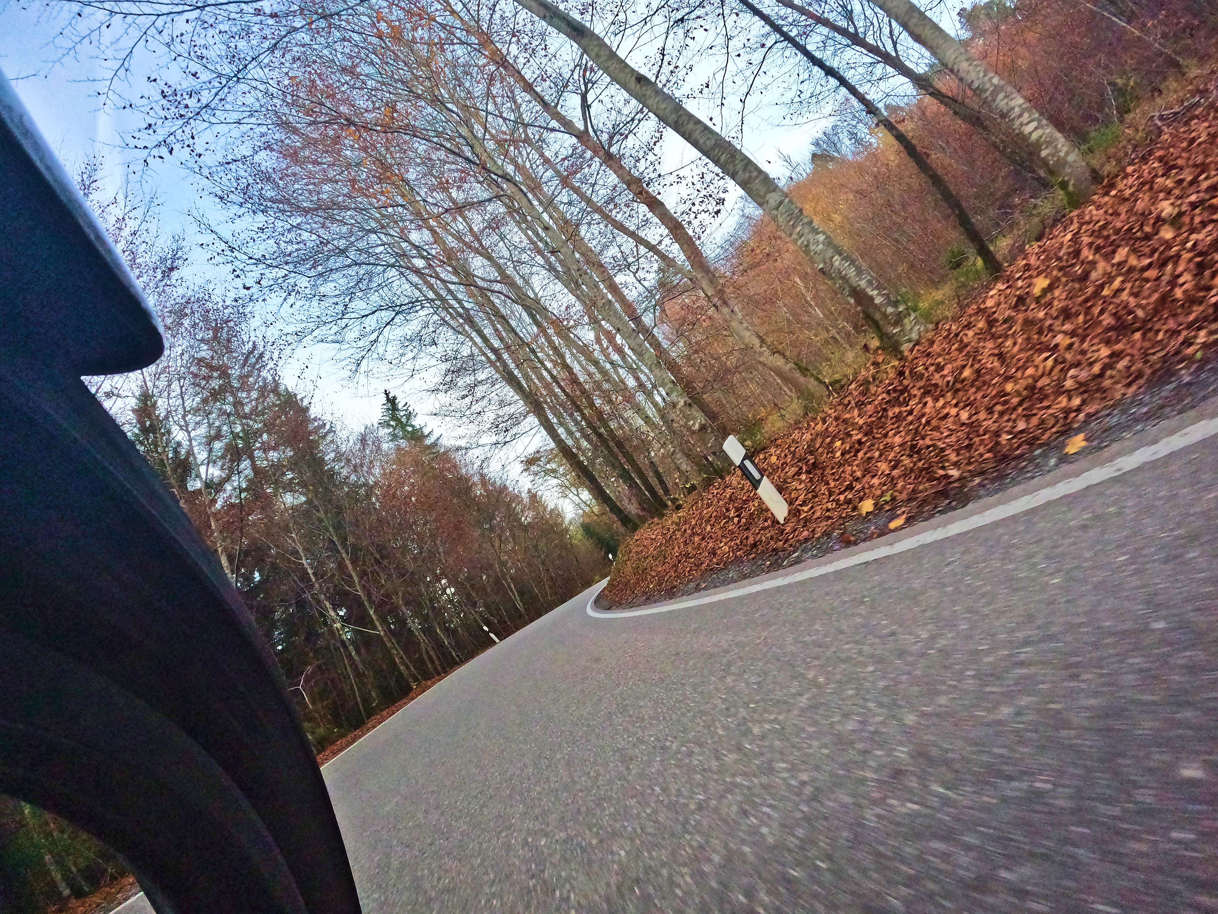 Hausstrecke im Herbst