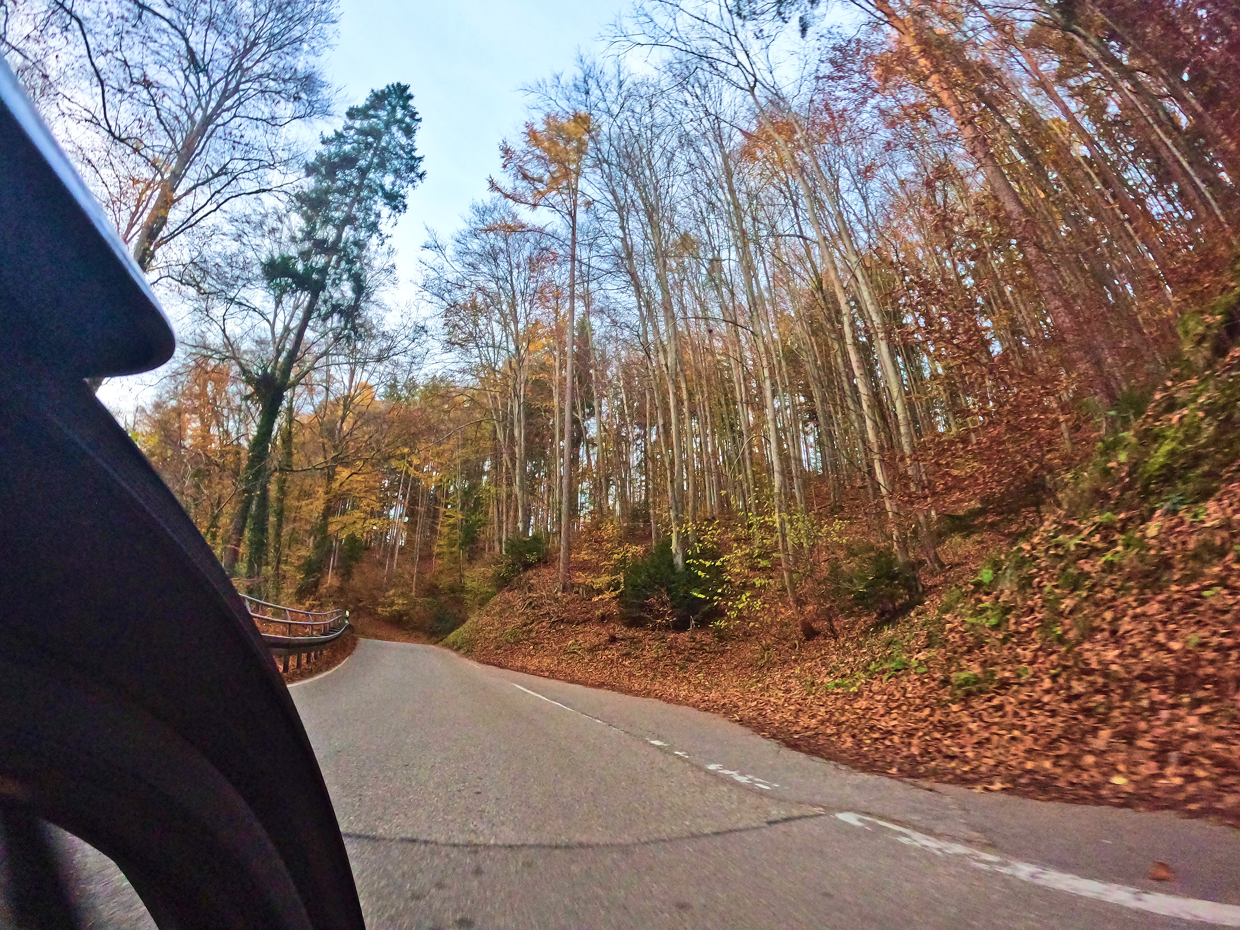 Viel Herbst &hellip;