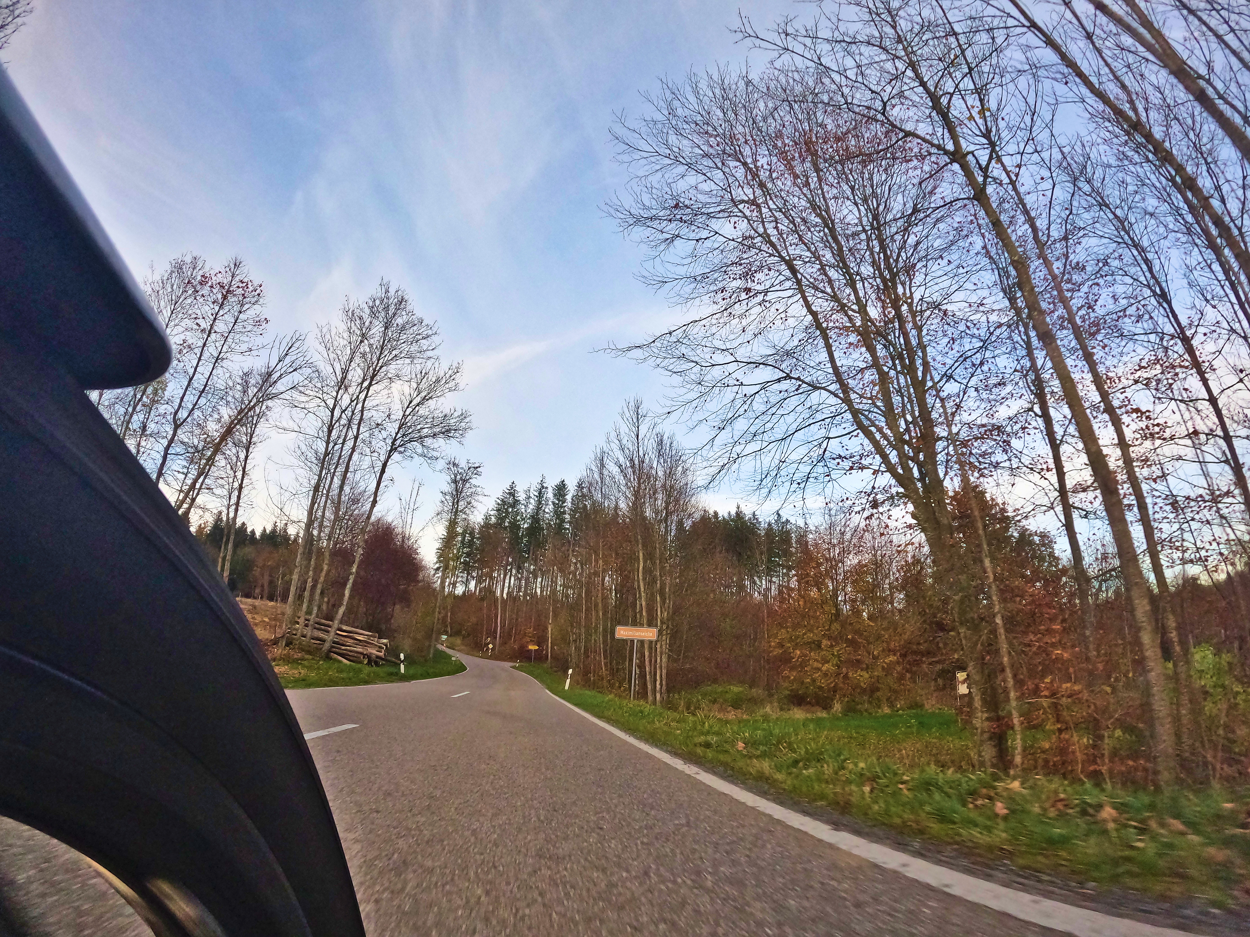 &hellip; und Maximilianseiche