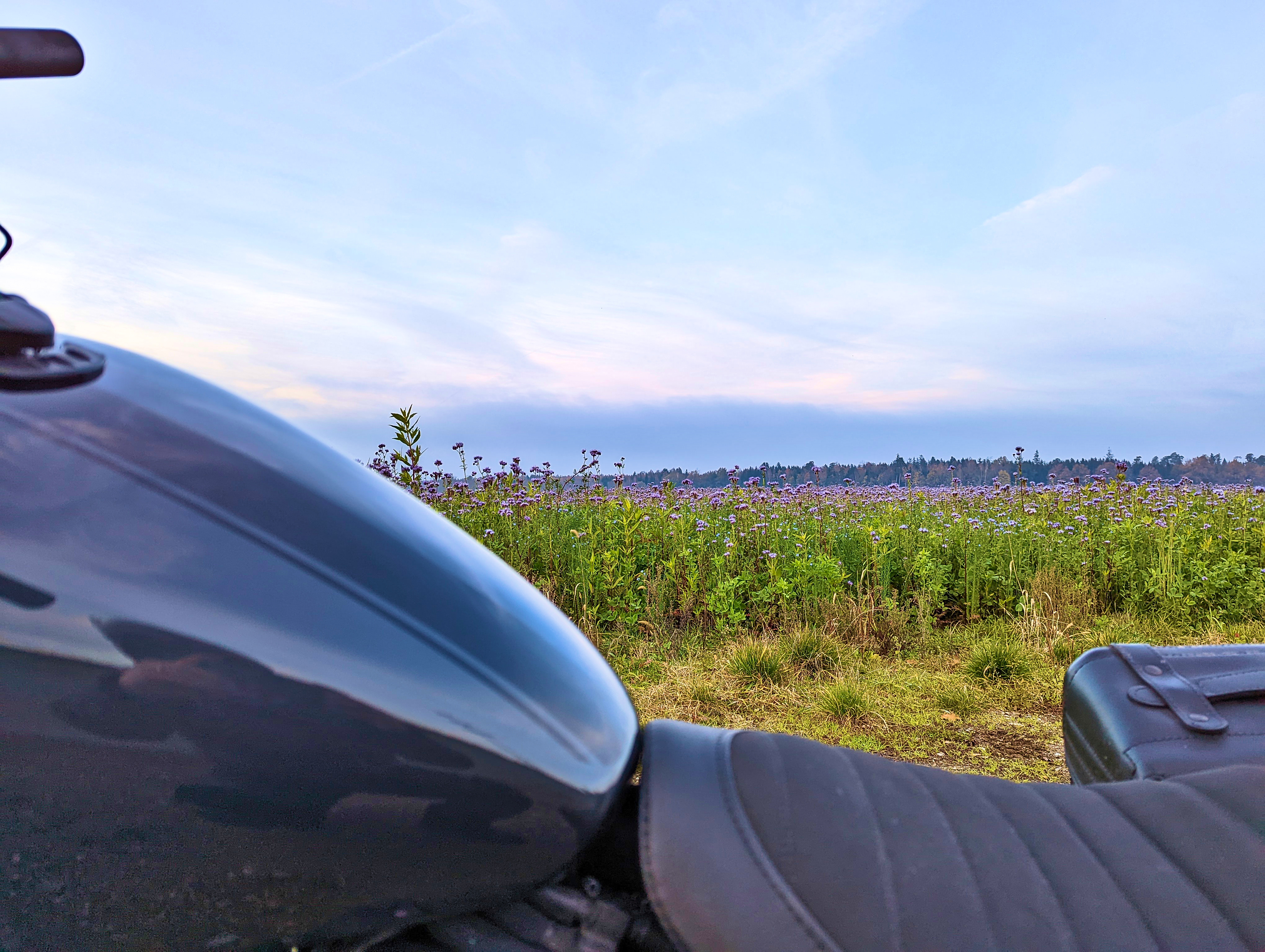 &lsquo;Oh, schöne Blumen&rsquo;