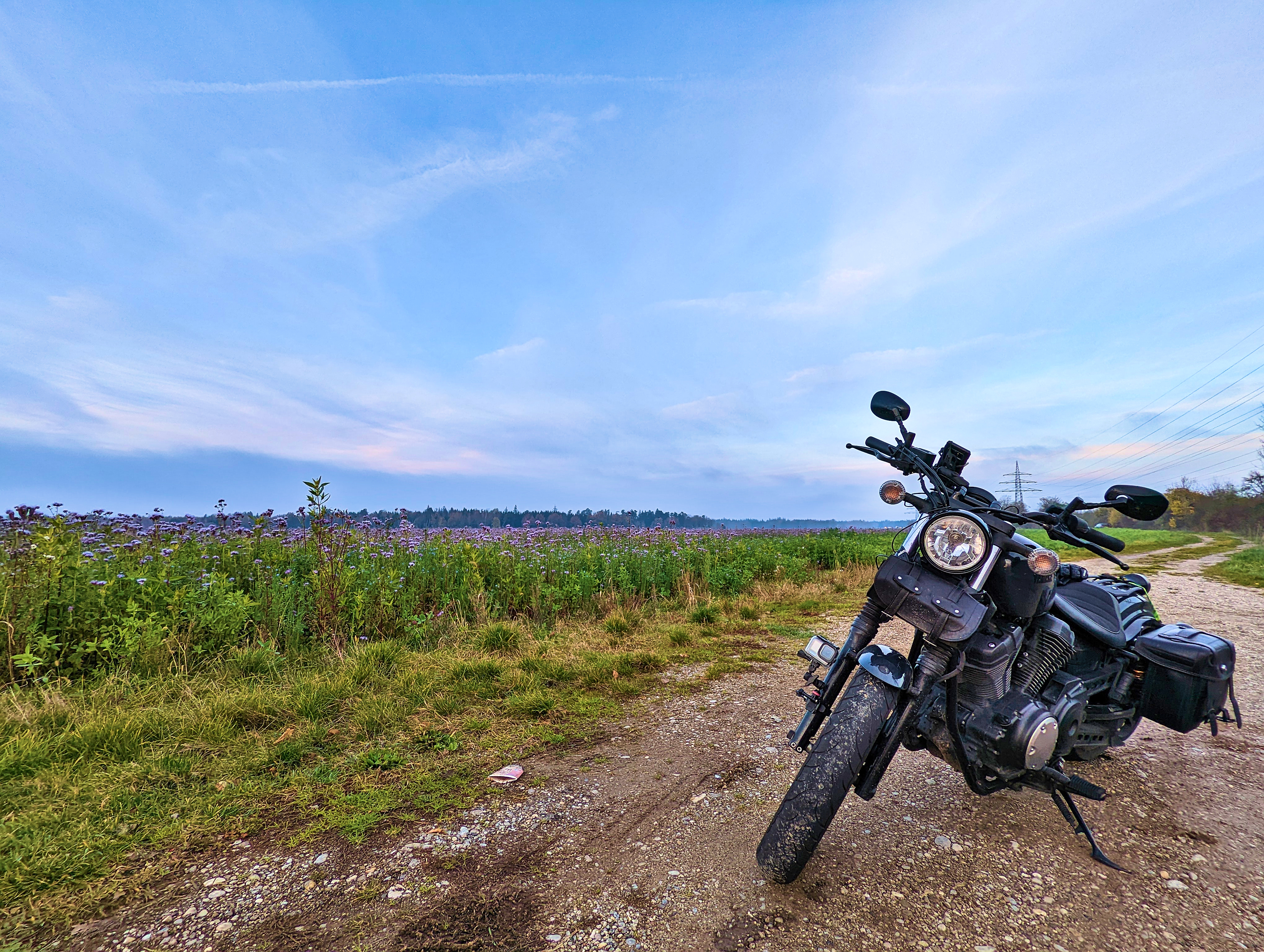 &lsquo;Da ist ja ein ganzes Feld!&rsquo;