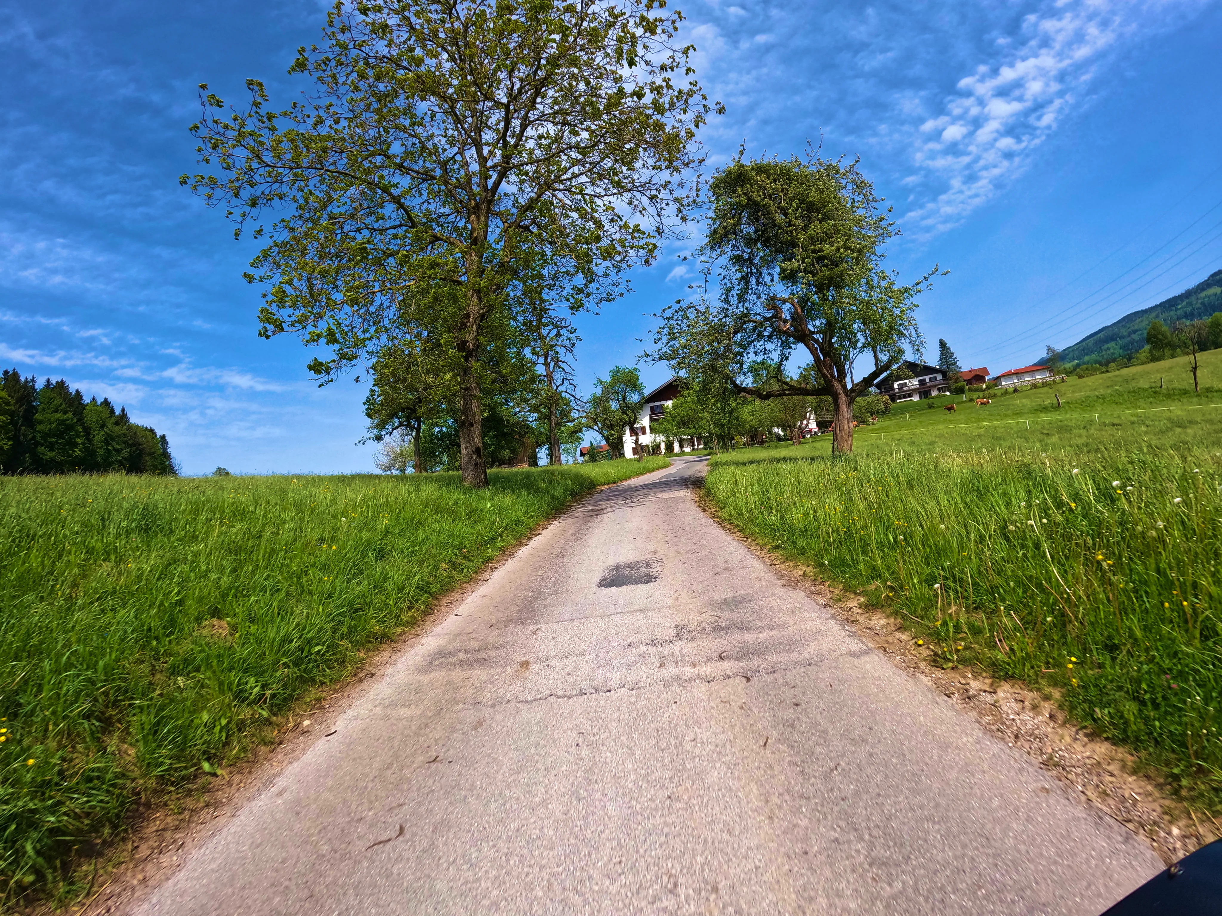 Über Schleichwege &hellip;