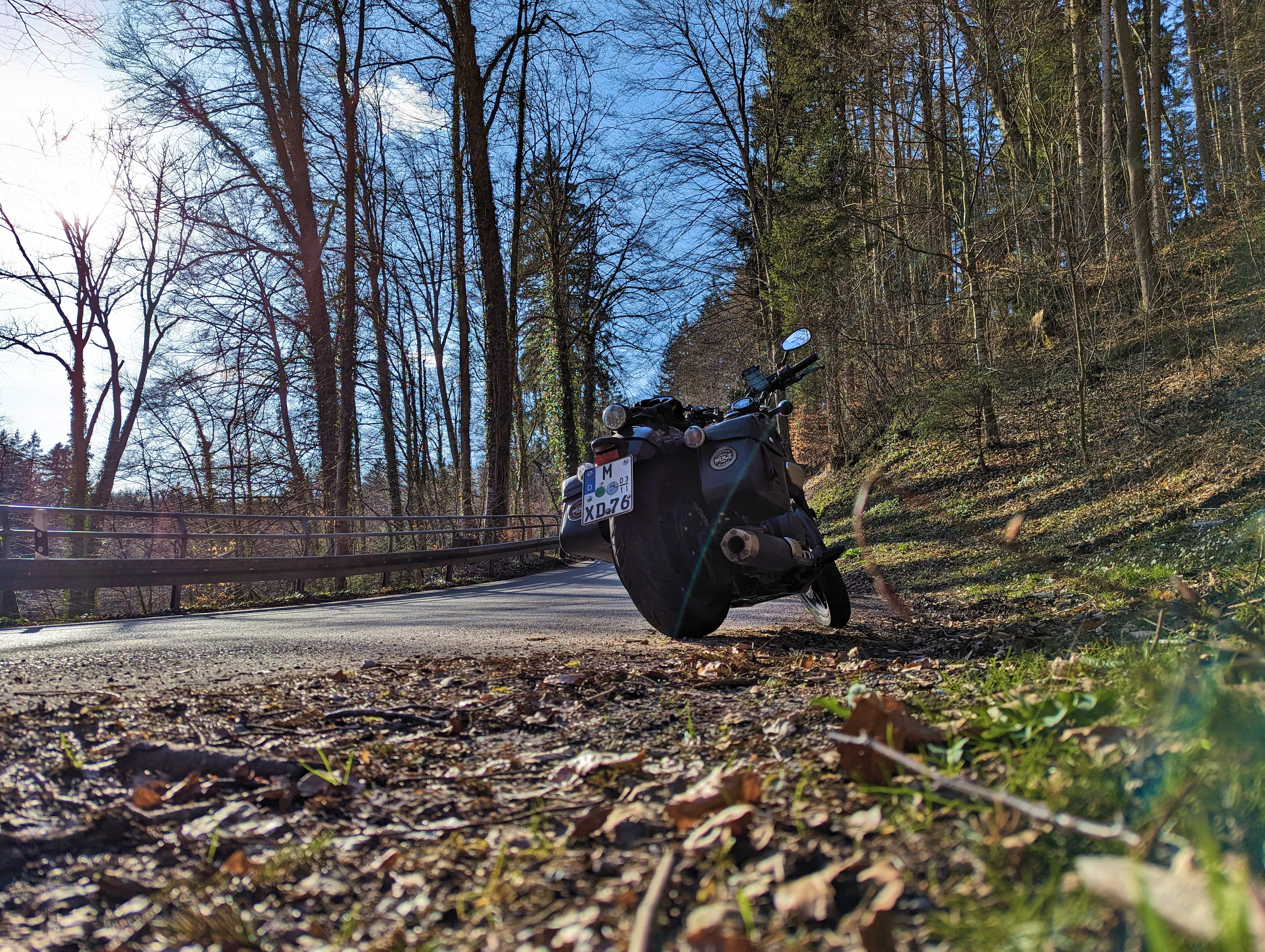 Die Bäume sind noch recht kahl