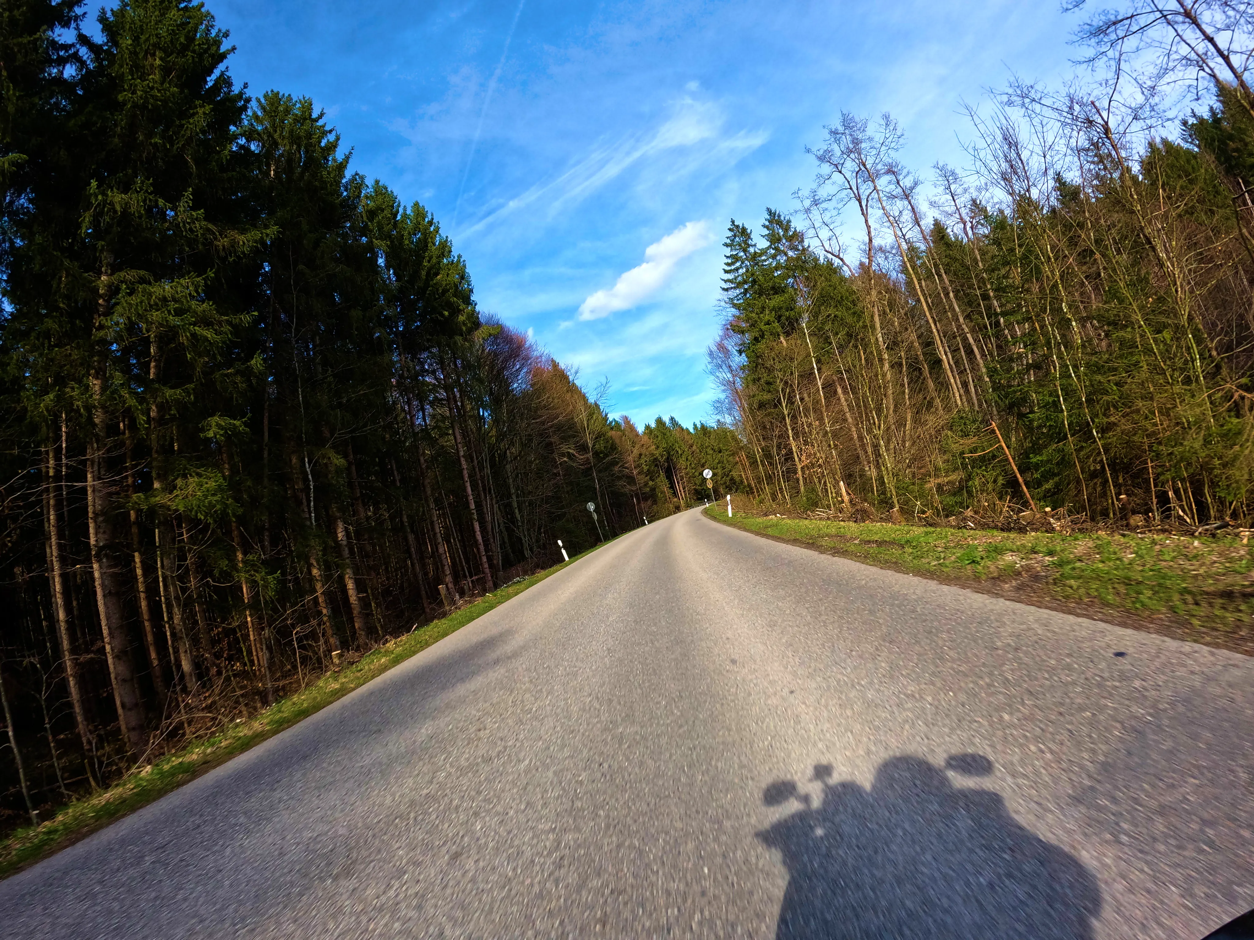 Durch den Wald &hellip;