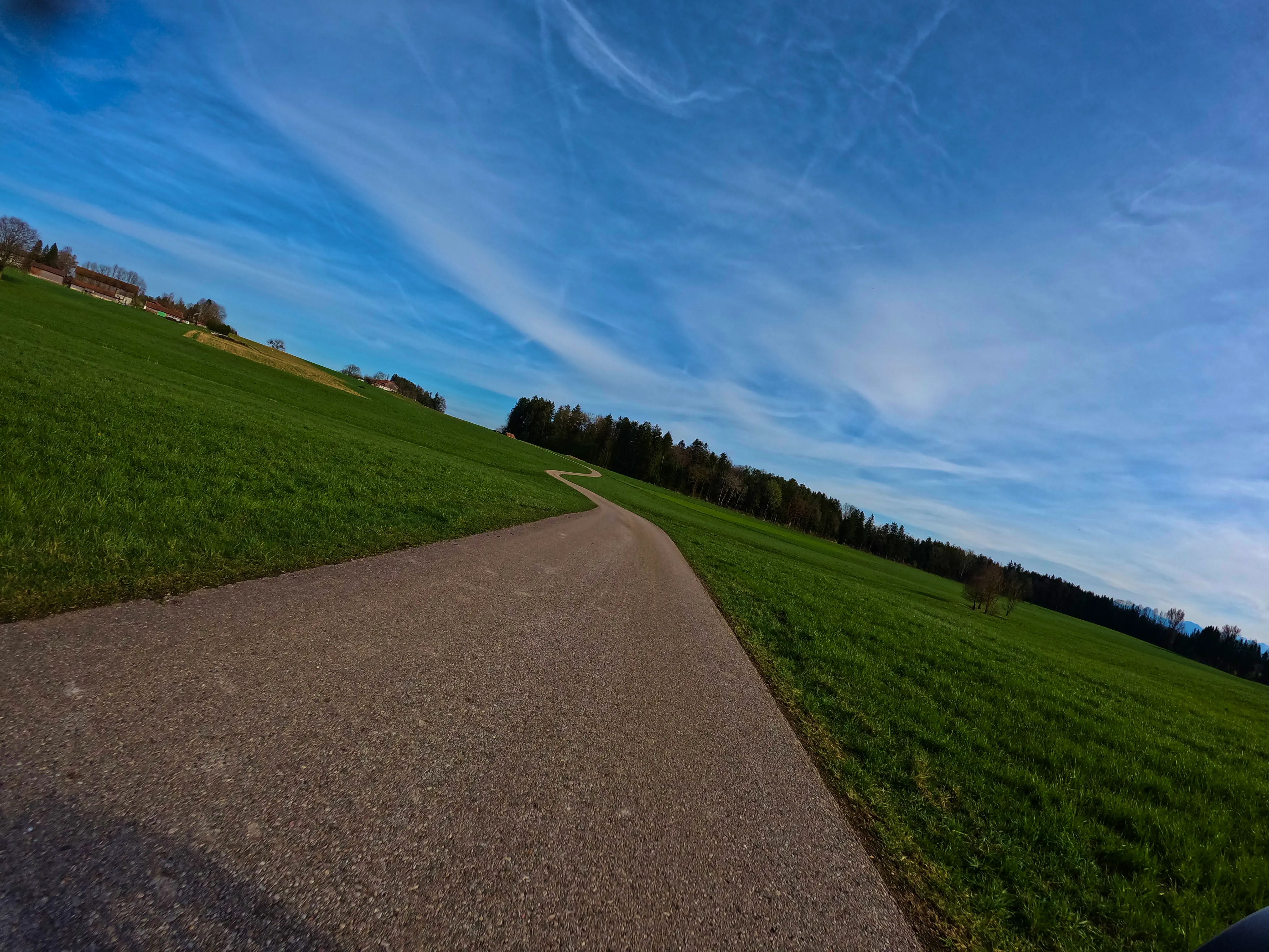 &hellip; Single &hellip;