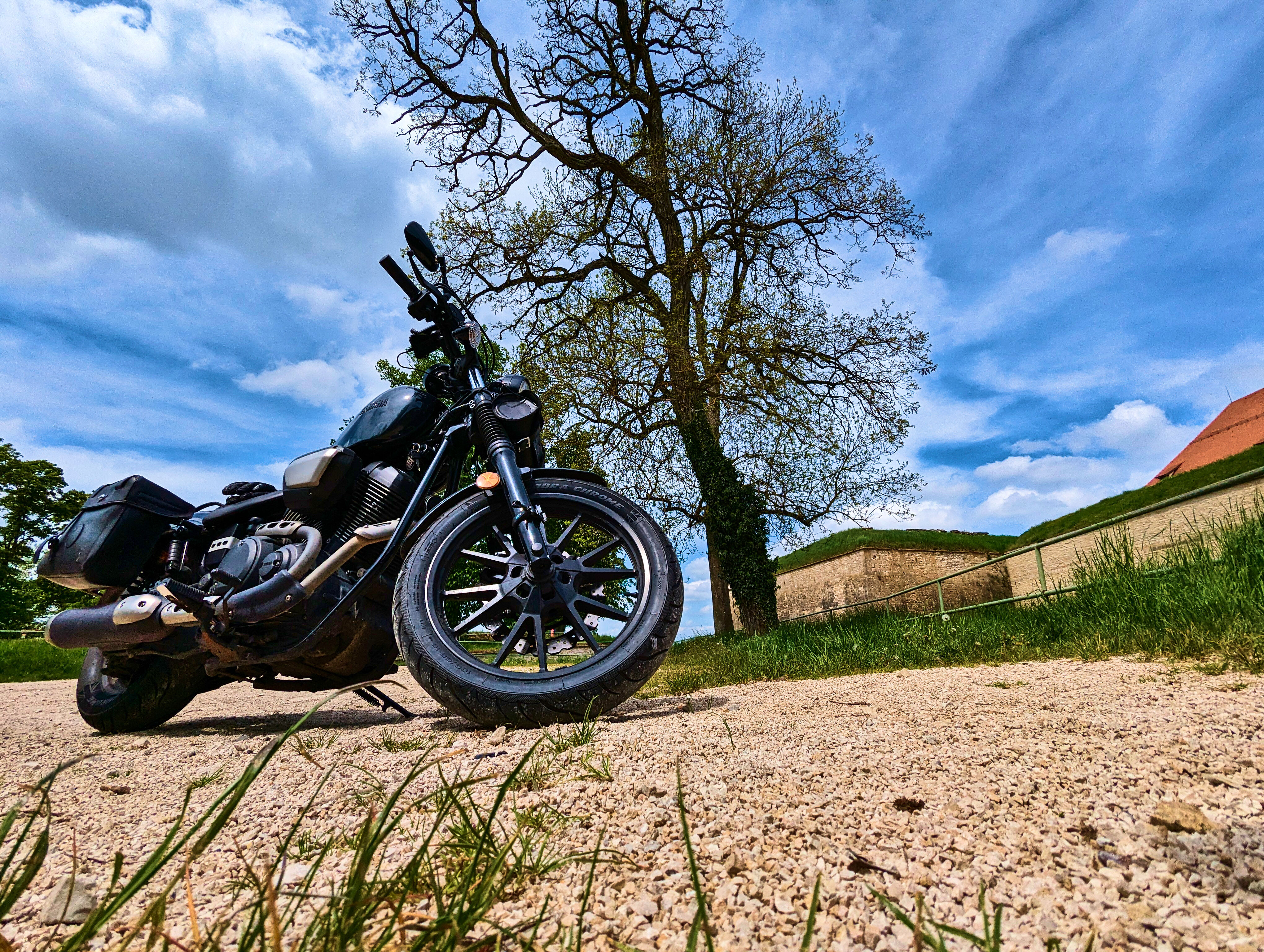 Bolt vor Baum vor Wülzburg