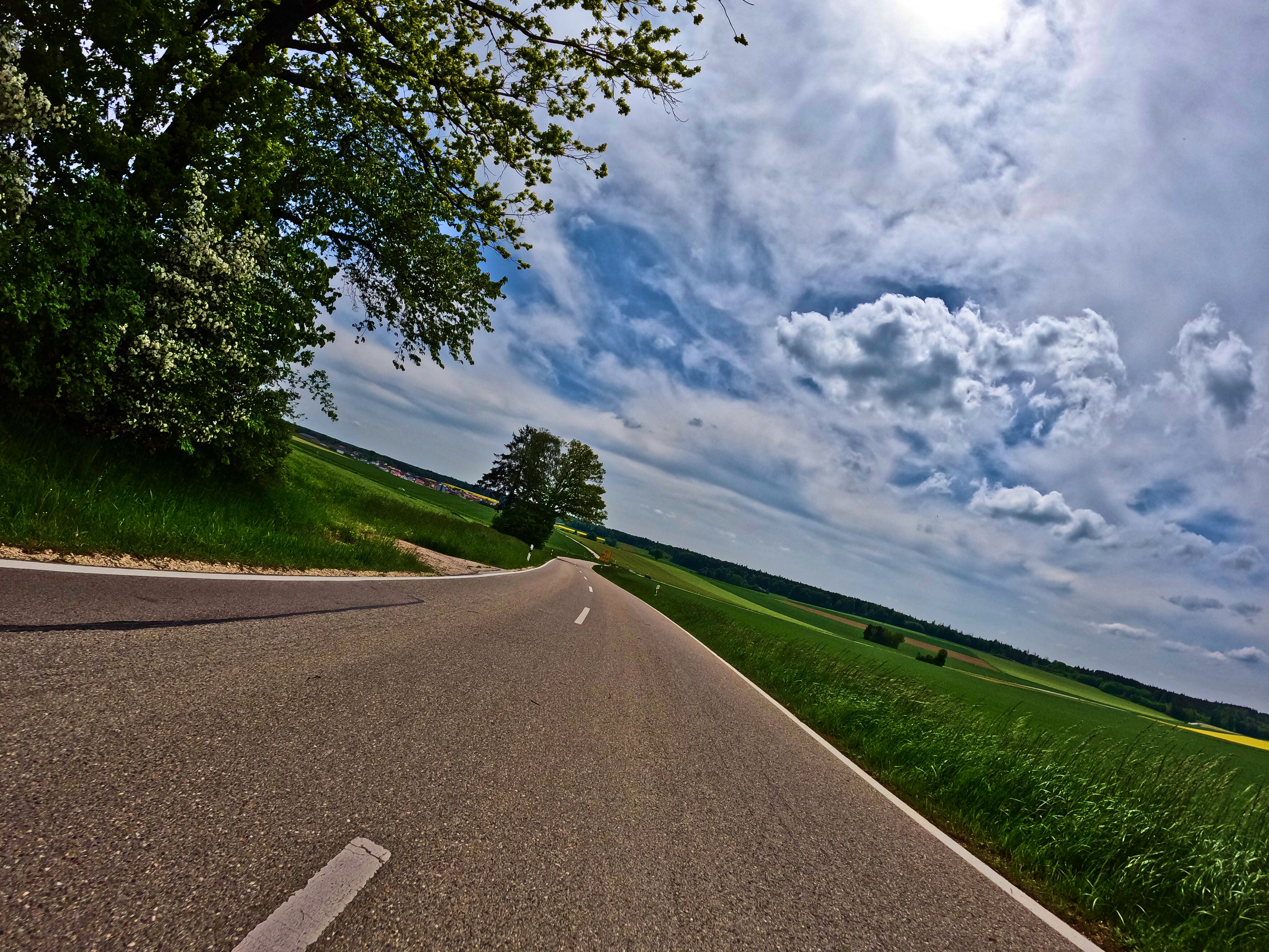 Kurvig Richtung Heimat