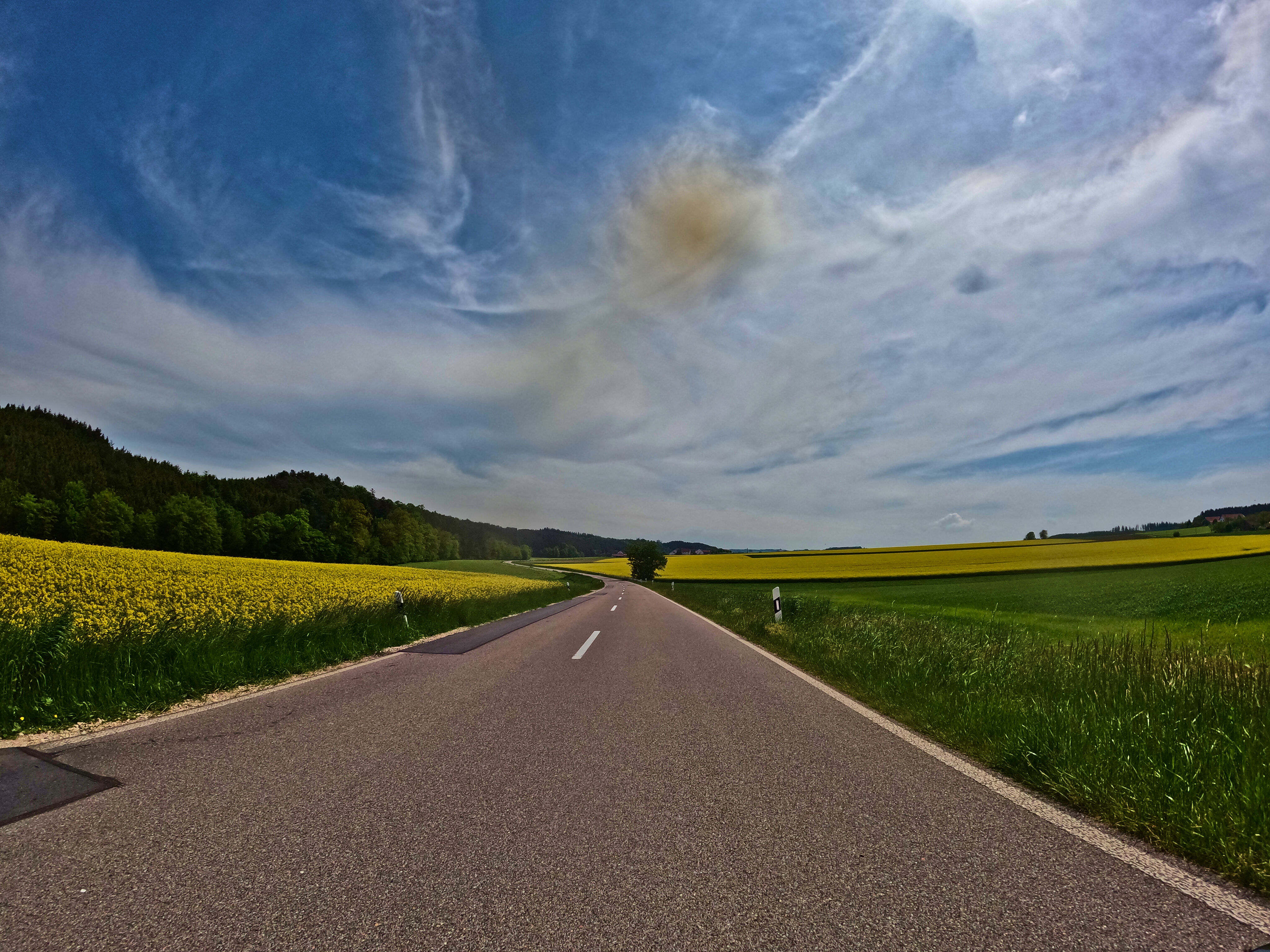 &hellip; Wiesen und Rapsfelder