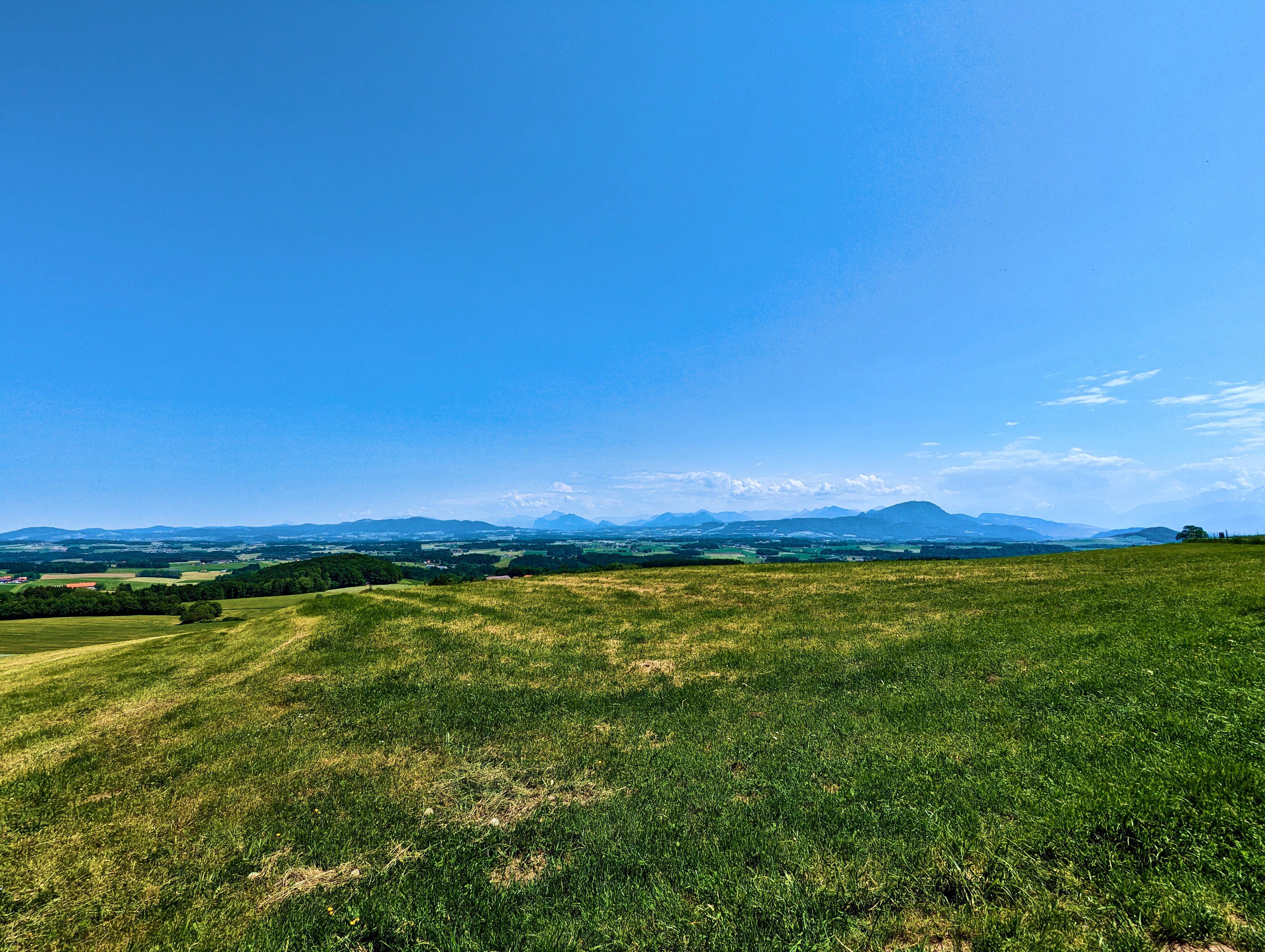 &hellip; Nachweis des Tages.