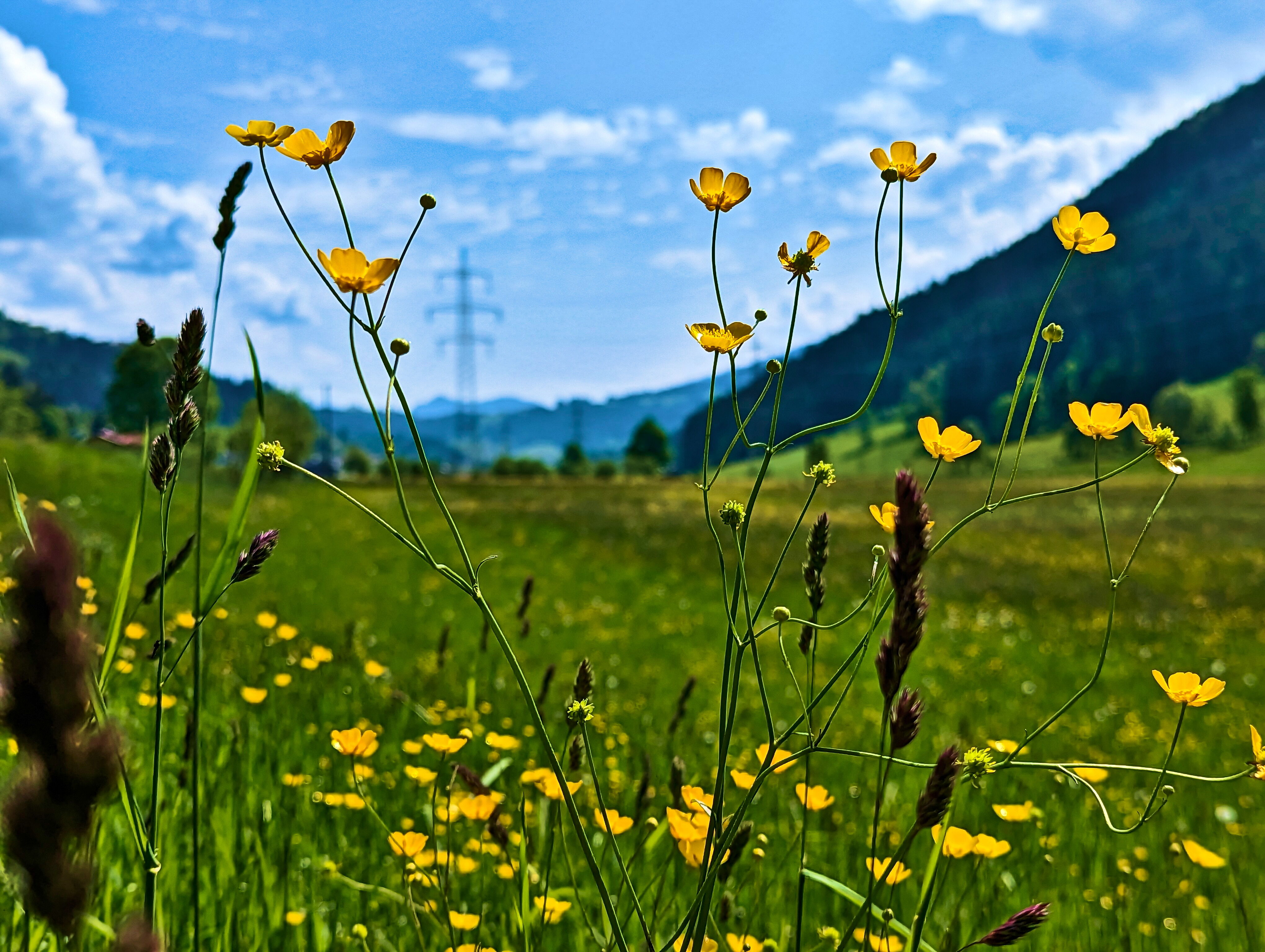 &hellip; Wagrainer &hellip;