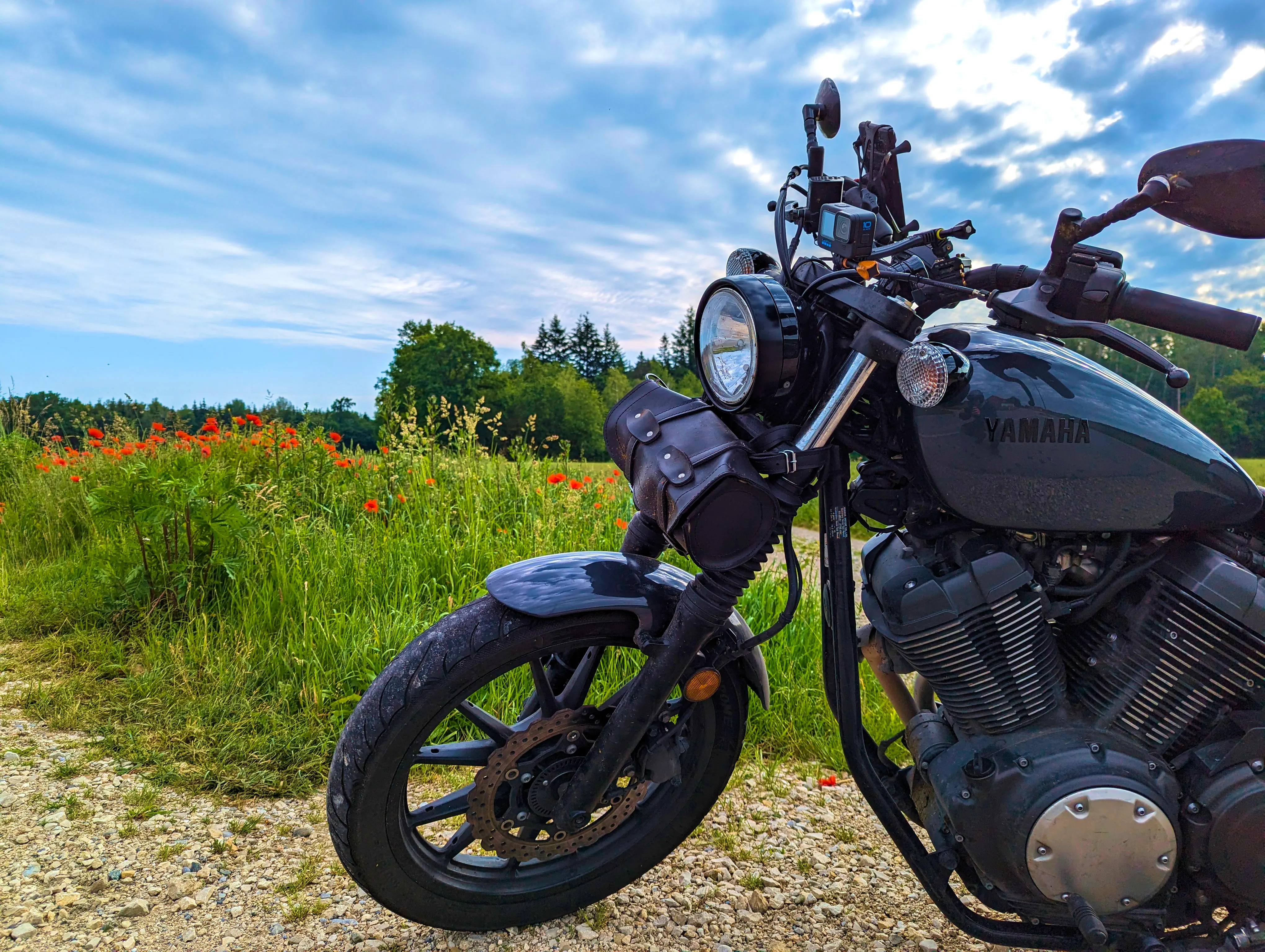 Mohn am Straßenrand