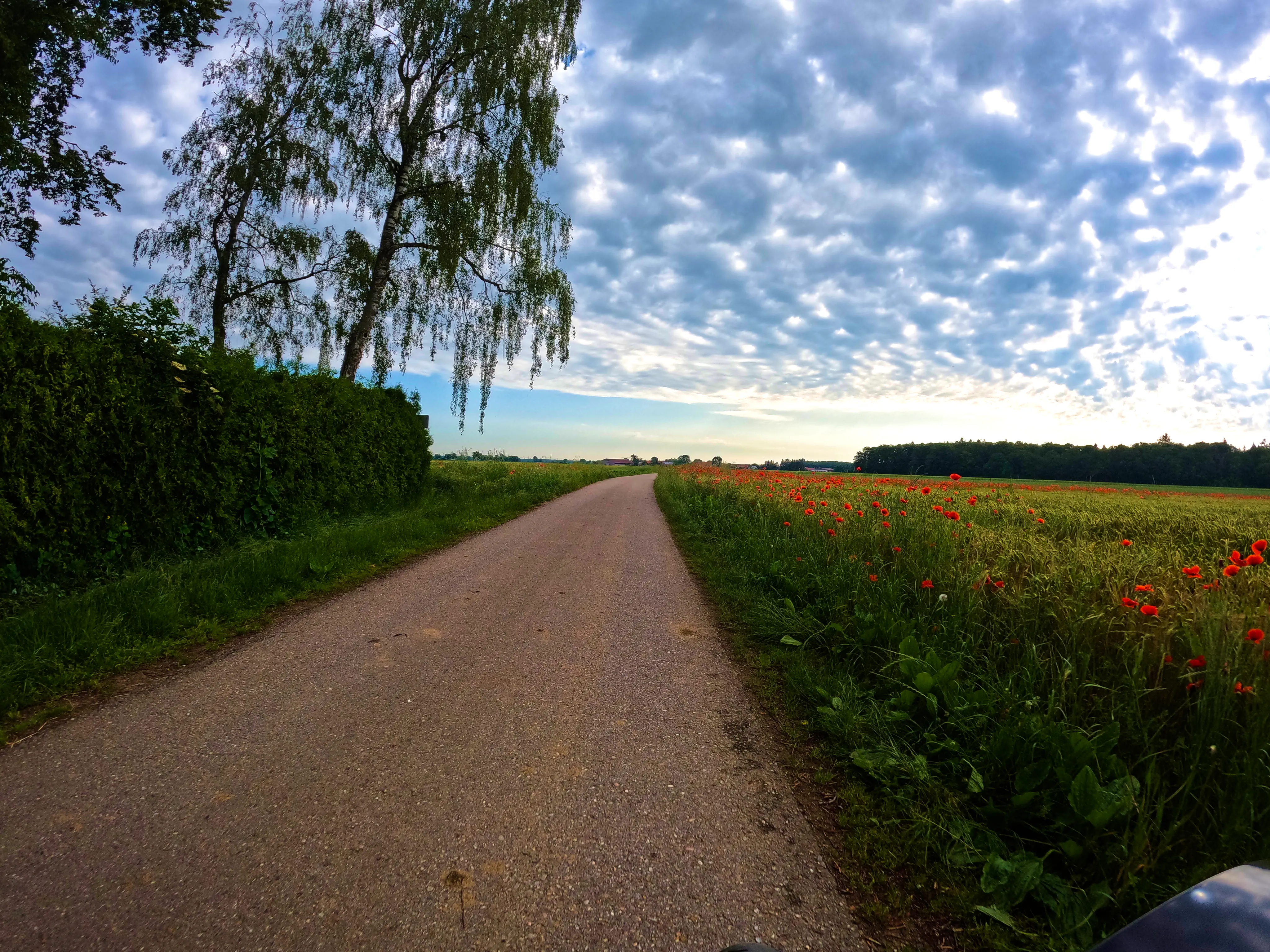 &hellip; viel &hellip;