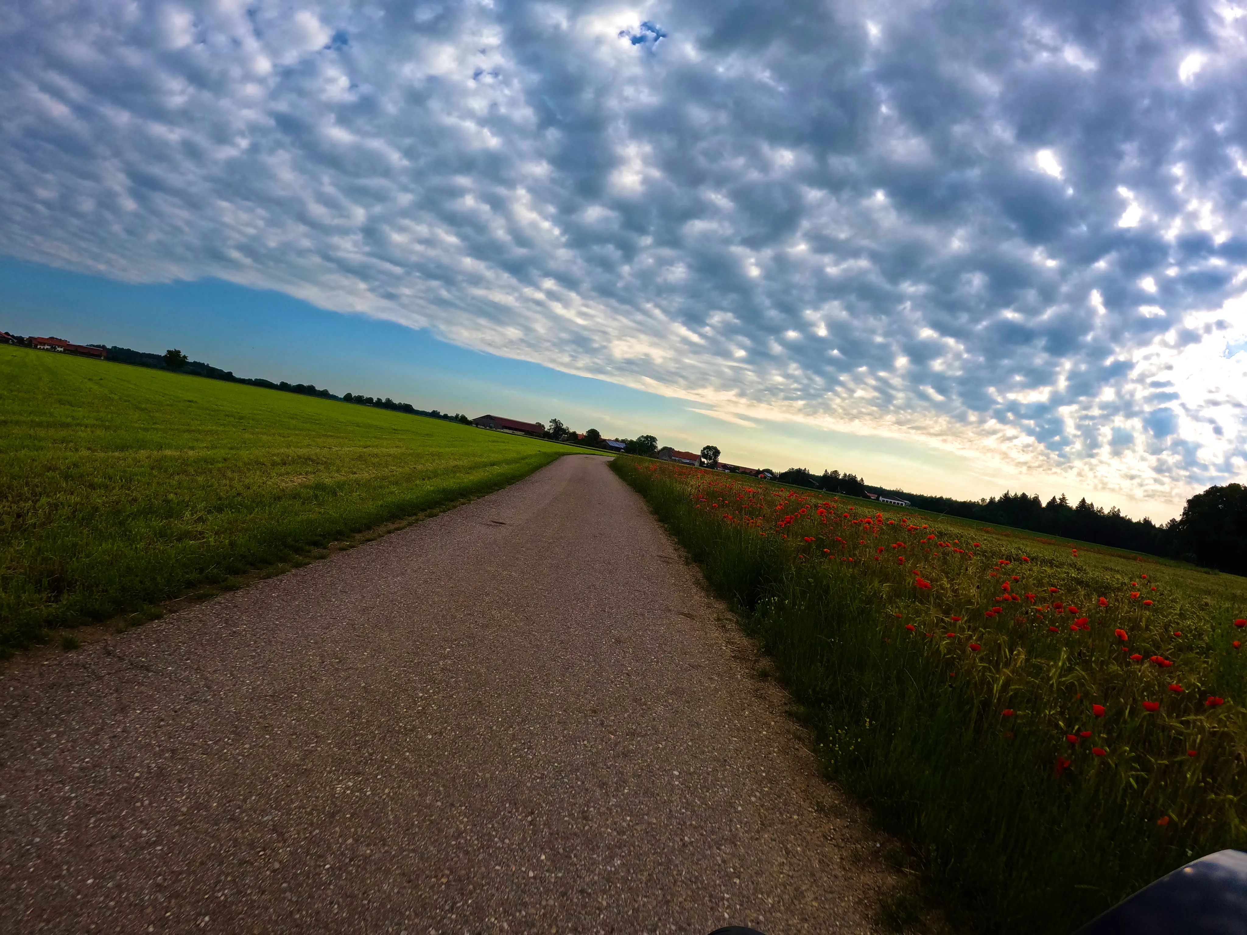 &hellip; am Straßenrand.