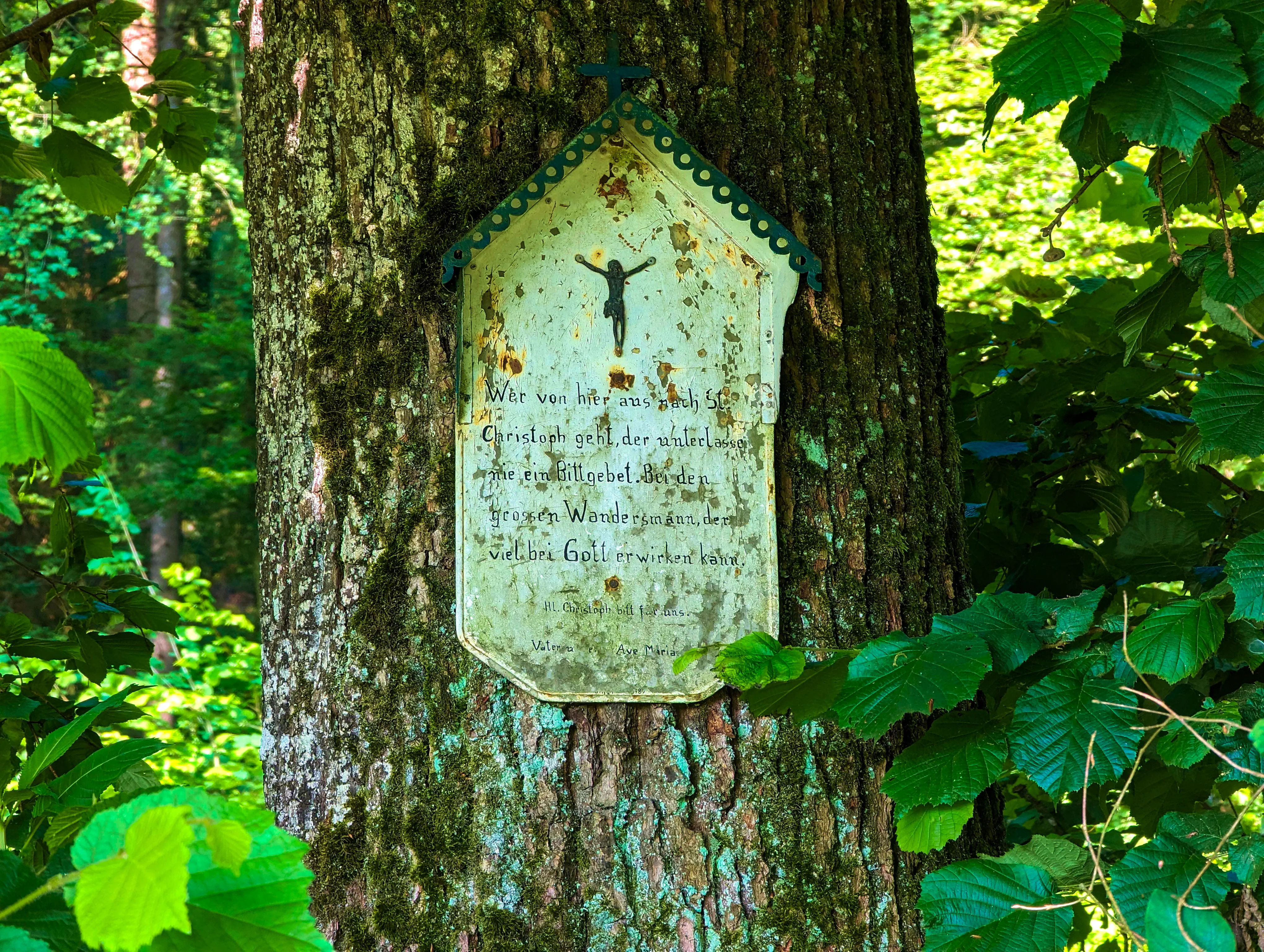 Ich hab&rsquo;s unterlassen!