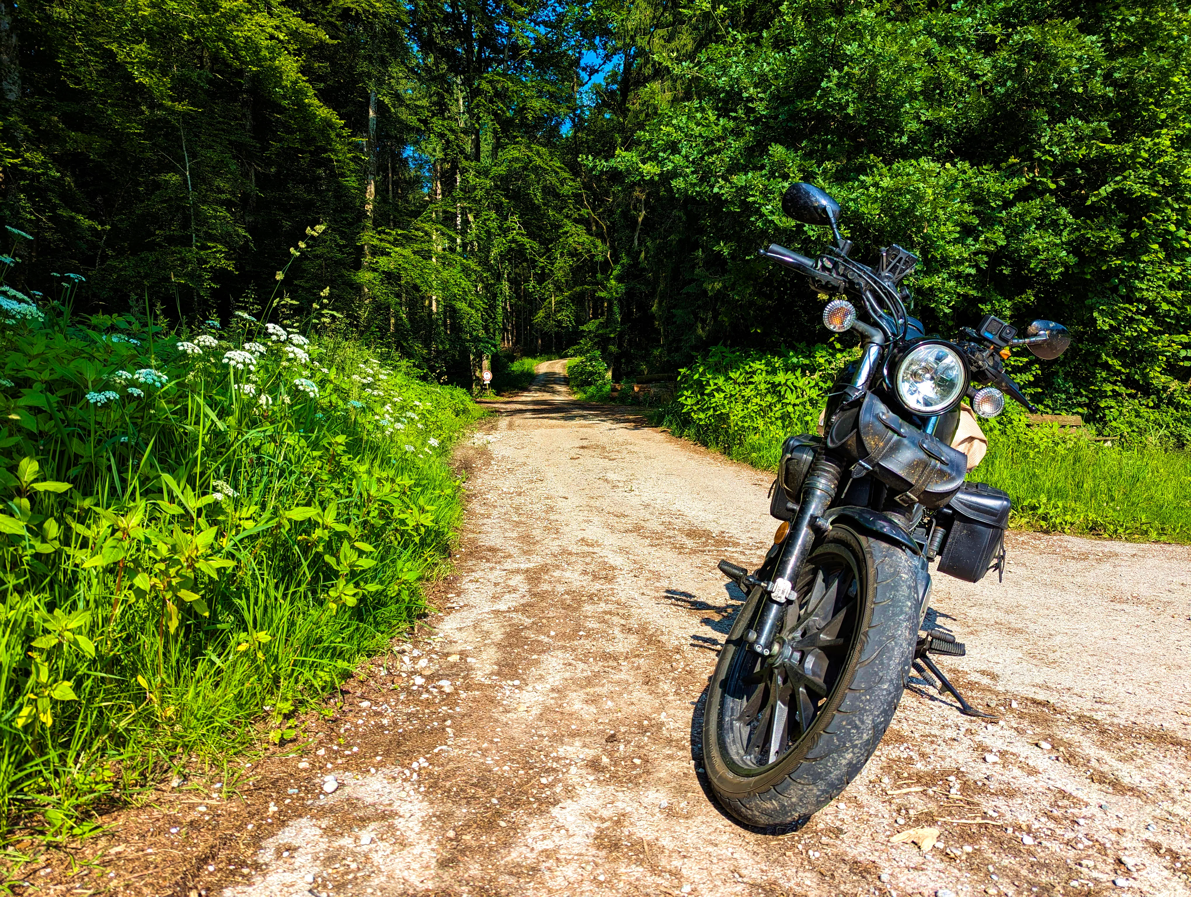 Den Waldweg bin ich nicht gefahren.