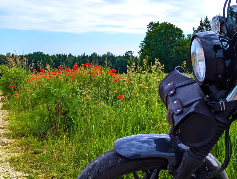 Featured image of post Early-Bird-Runde um den Ebersberger Forst