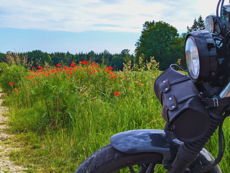 Featured image of post Early-Bird-Runde um den Ebersberger Forst