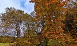 Featured image of post Ein Bild zwischendurch: Farben des Herbstes