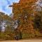 Ein Bild zwischendurch: Farben des Herbstes