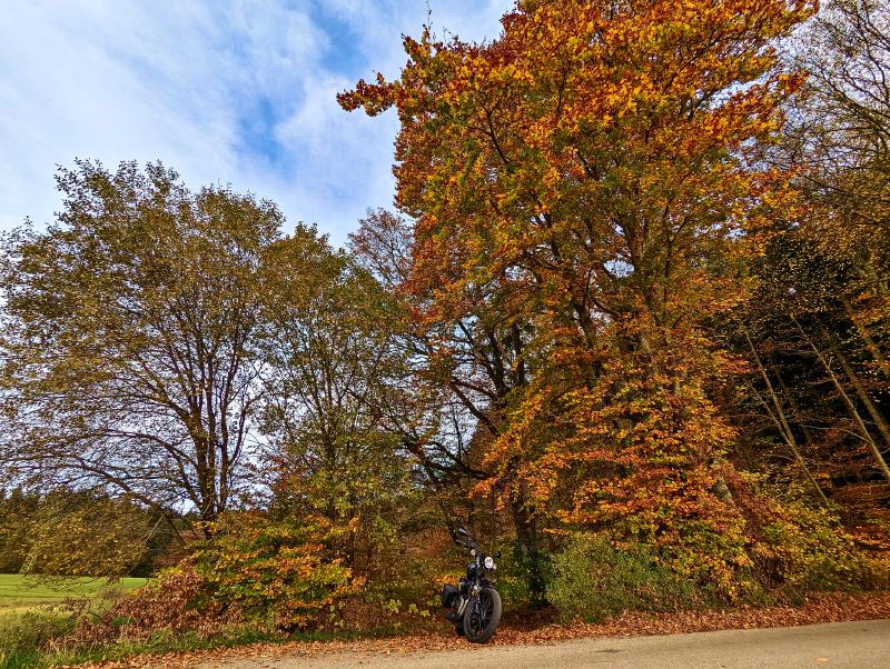 Featured image of post Ein Bild zwischendurch: Farben des Herbstes