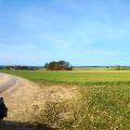 Ein Bild zwischendurch: Geschwungene Feldwege