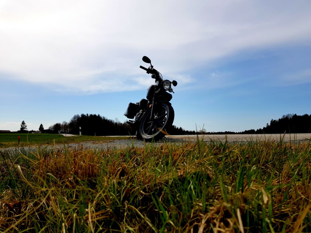 Halb Gras, halb Himmel.