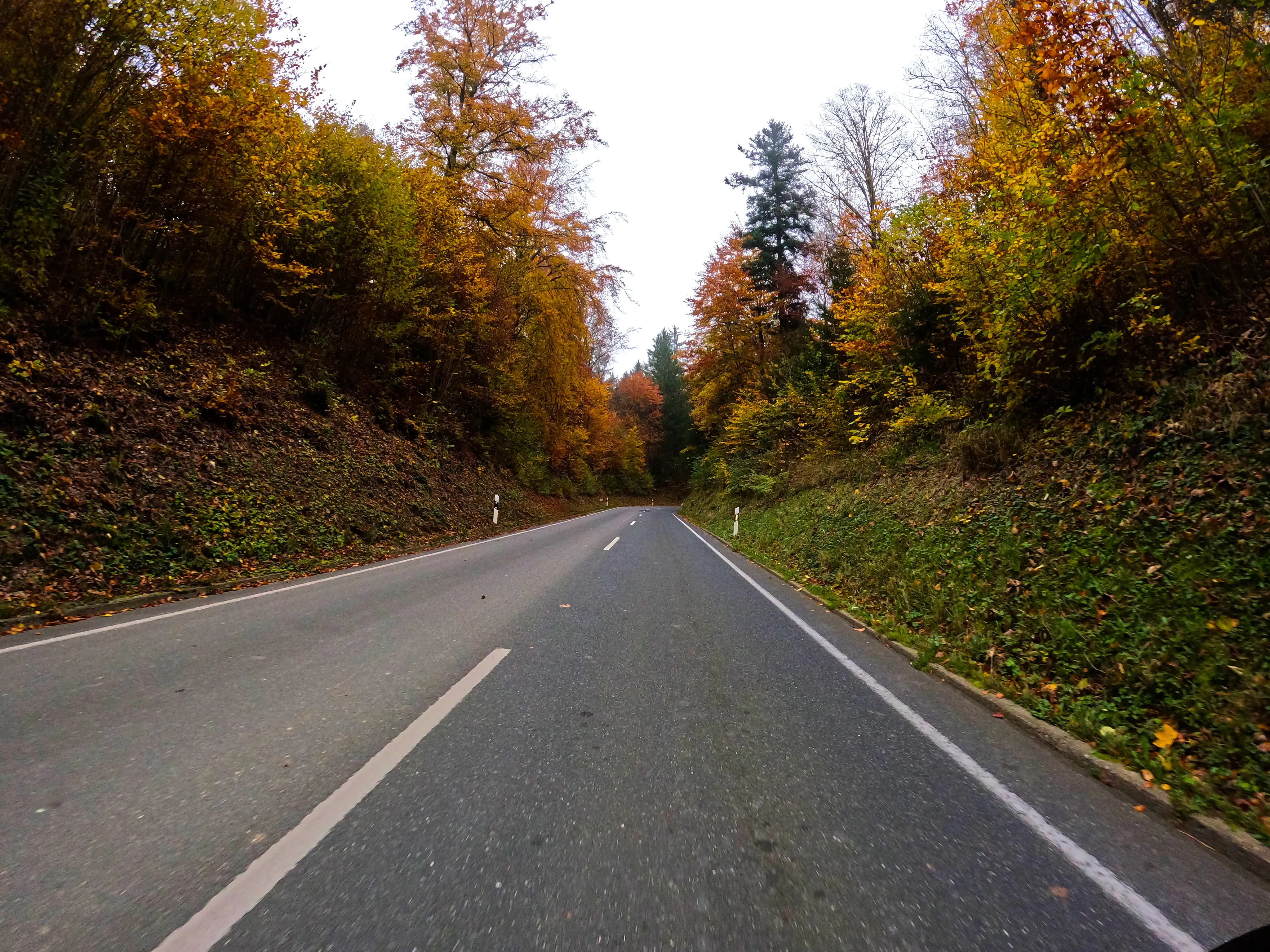 … Dekoration der Umwelt.