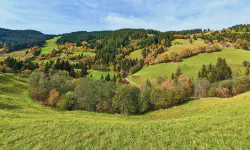 Featured image of post Es wird Herbst