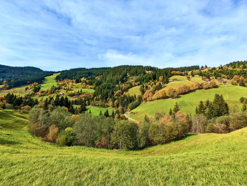 Featured image of post Es wird Herbst