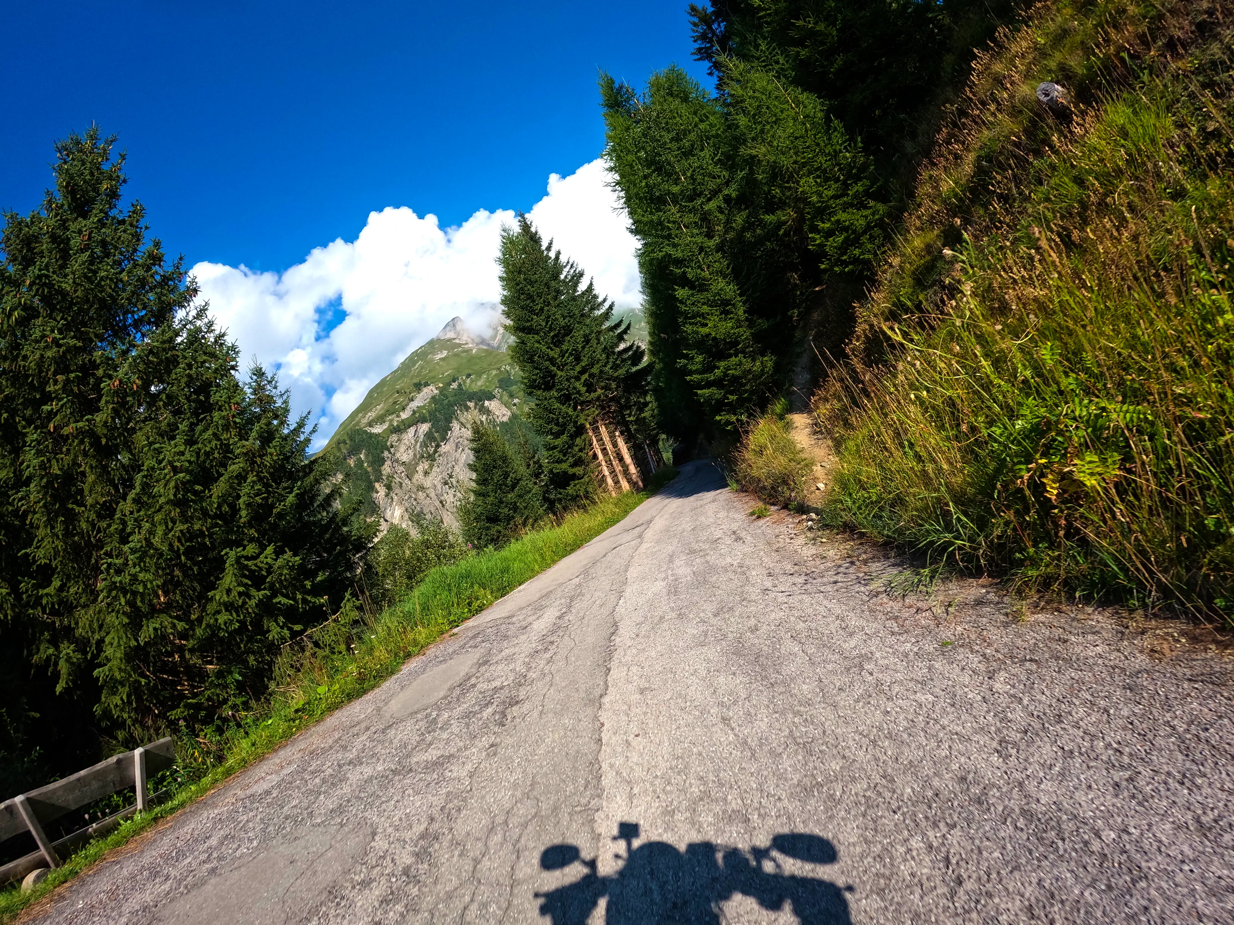 Auffahrt zur Moa-Alm