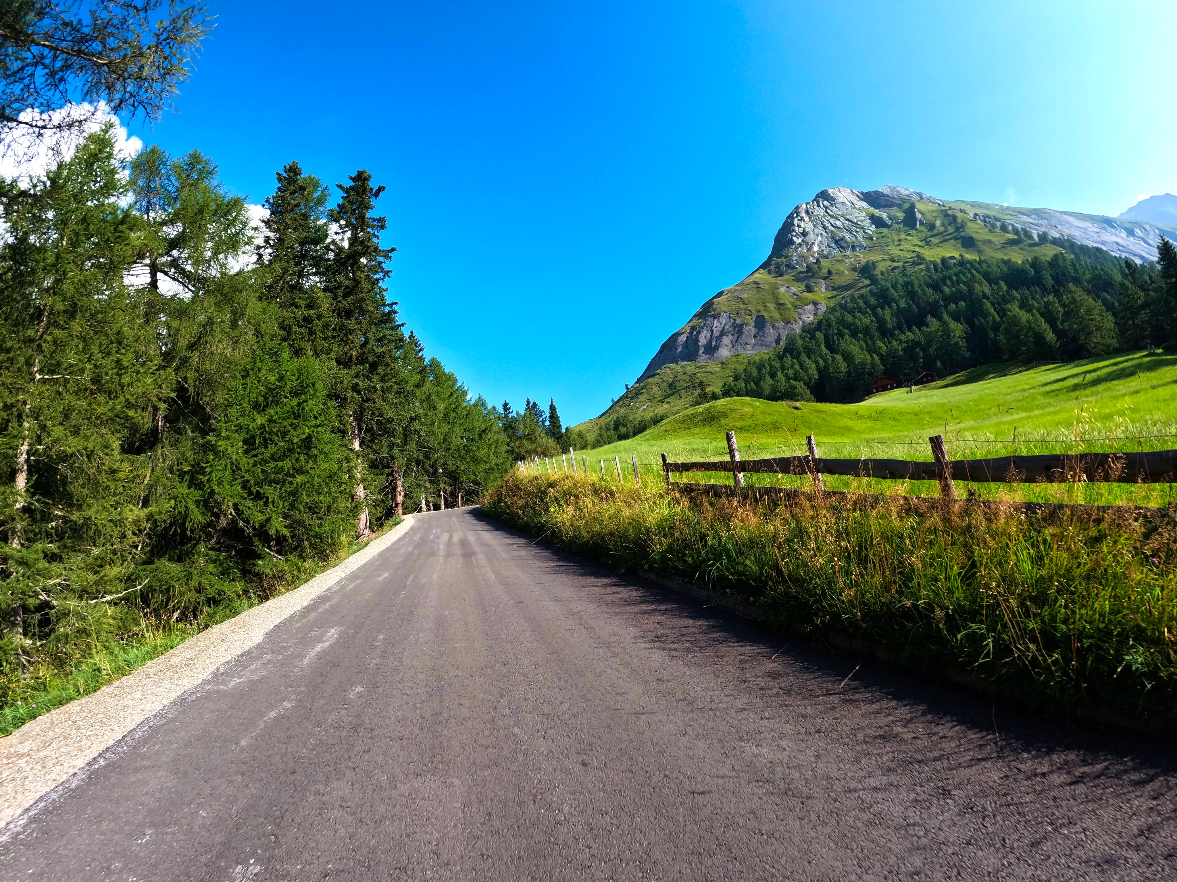 Auffahrt zur Moa-Alm