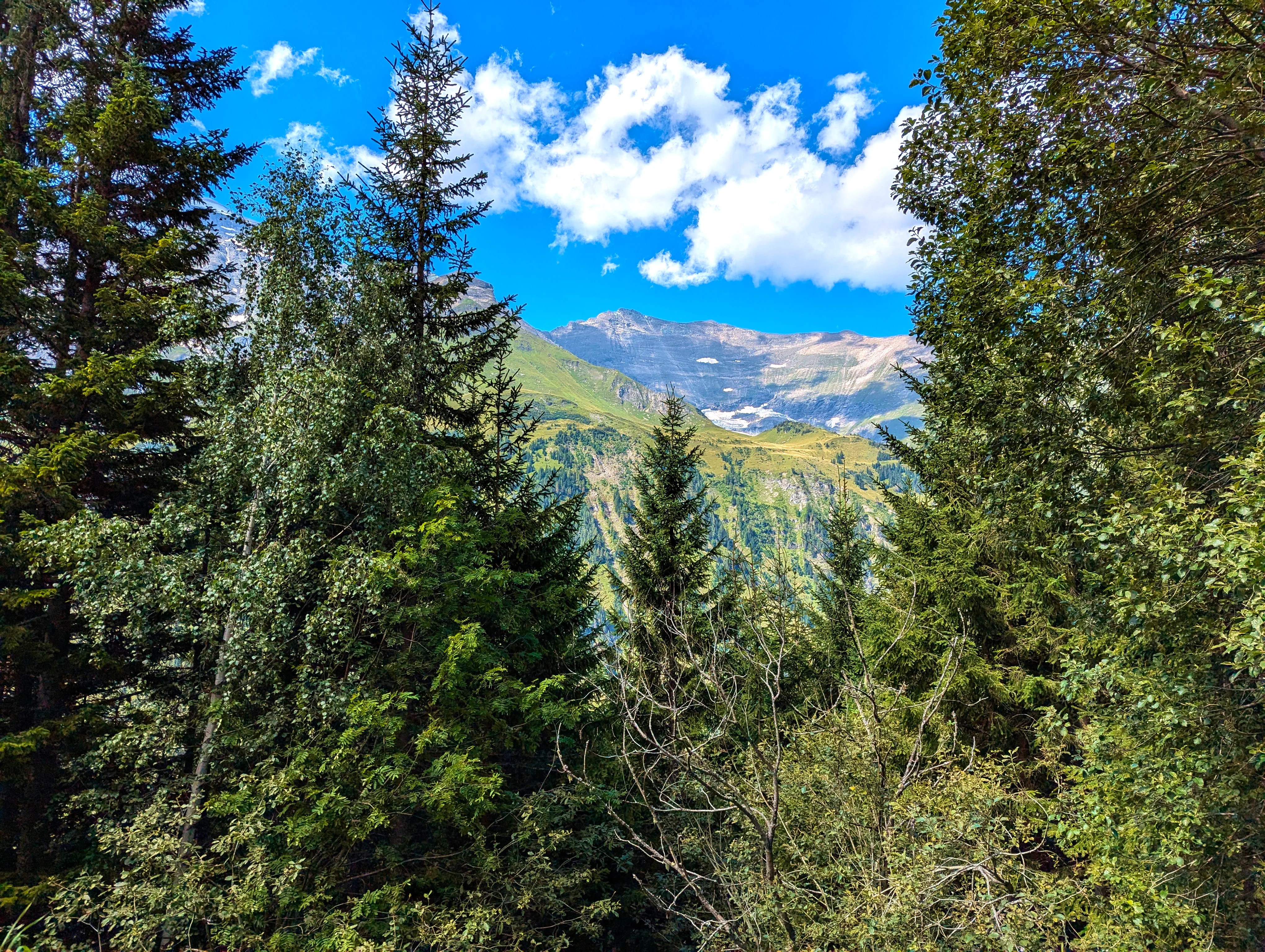 Und nochmal &hellip;