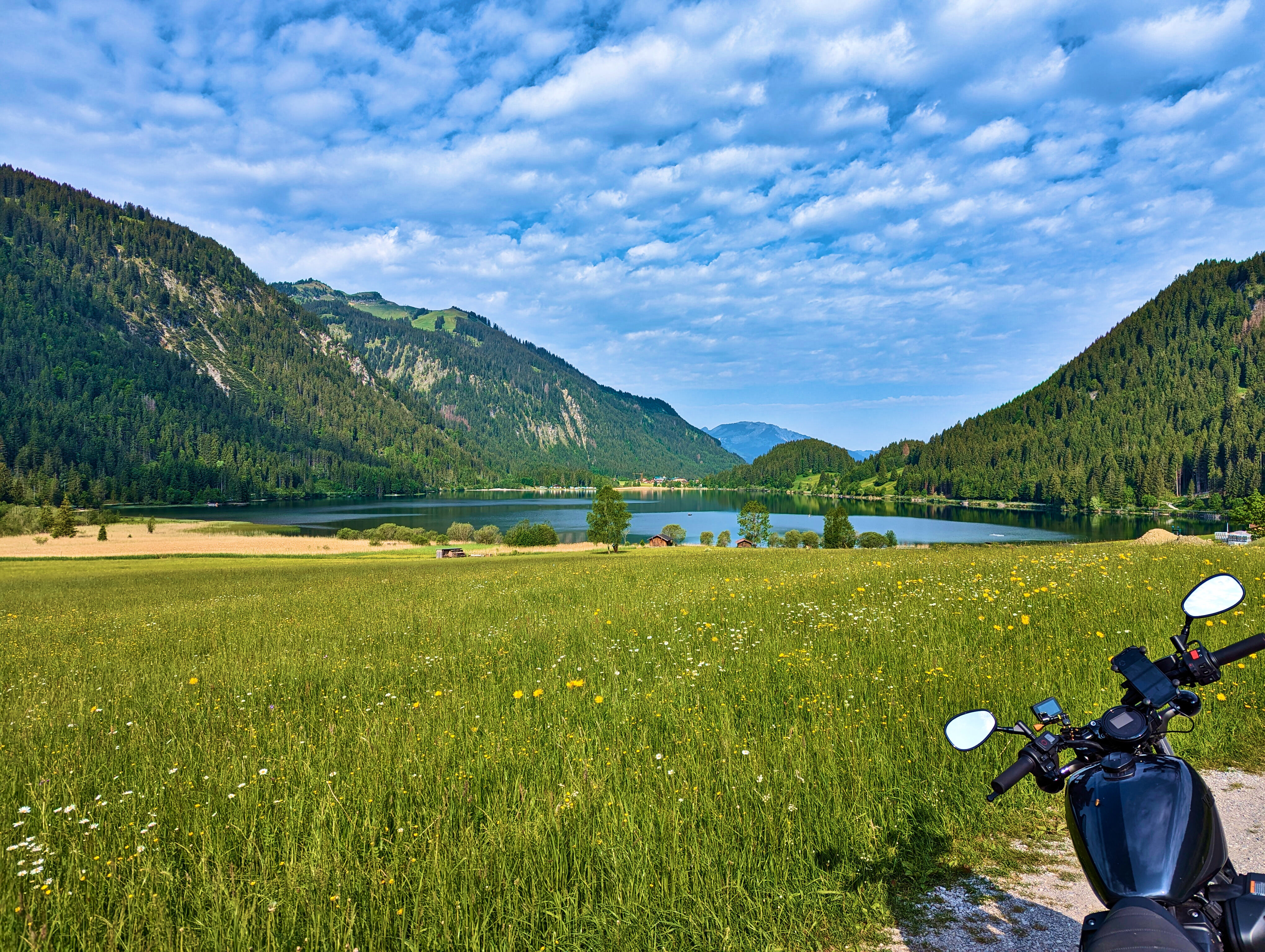&hellip; wollte auch fotografiert werden.
