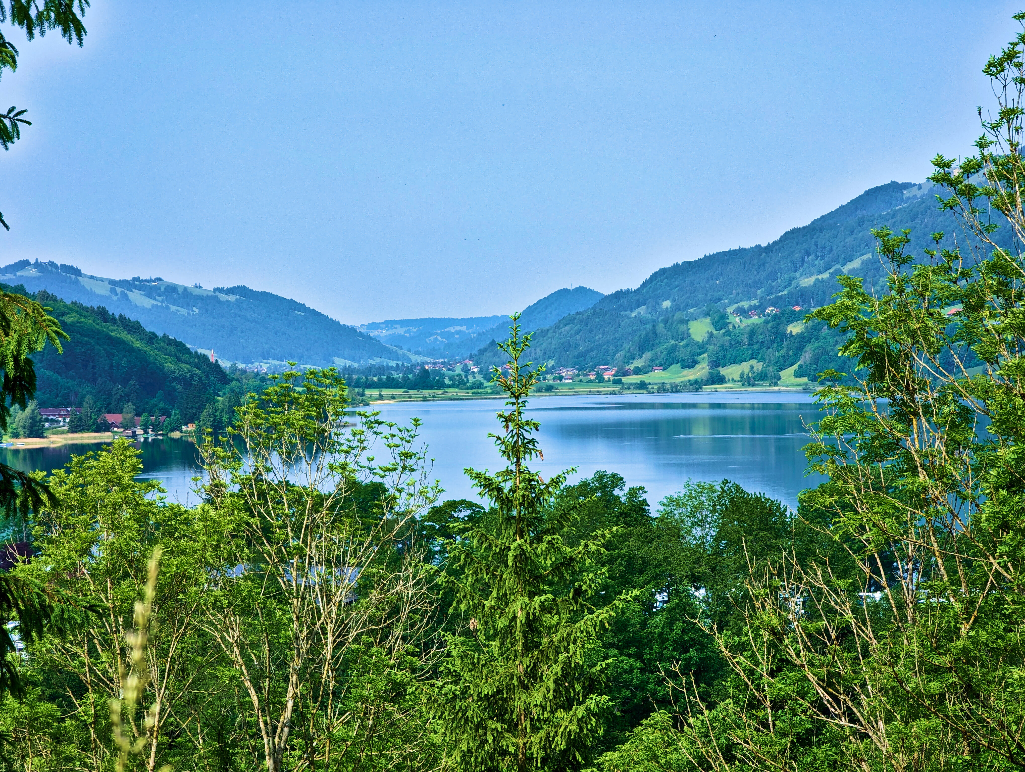 Blick auf den Großen Alpsee