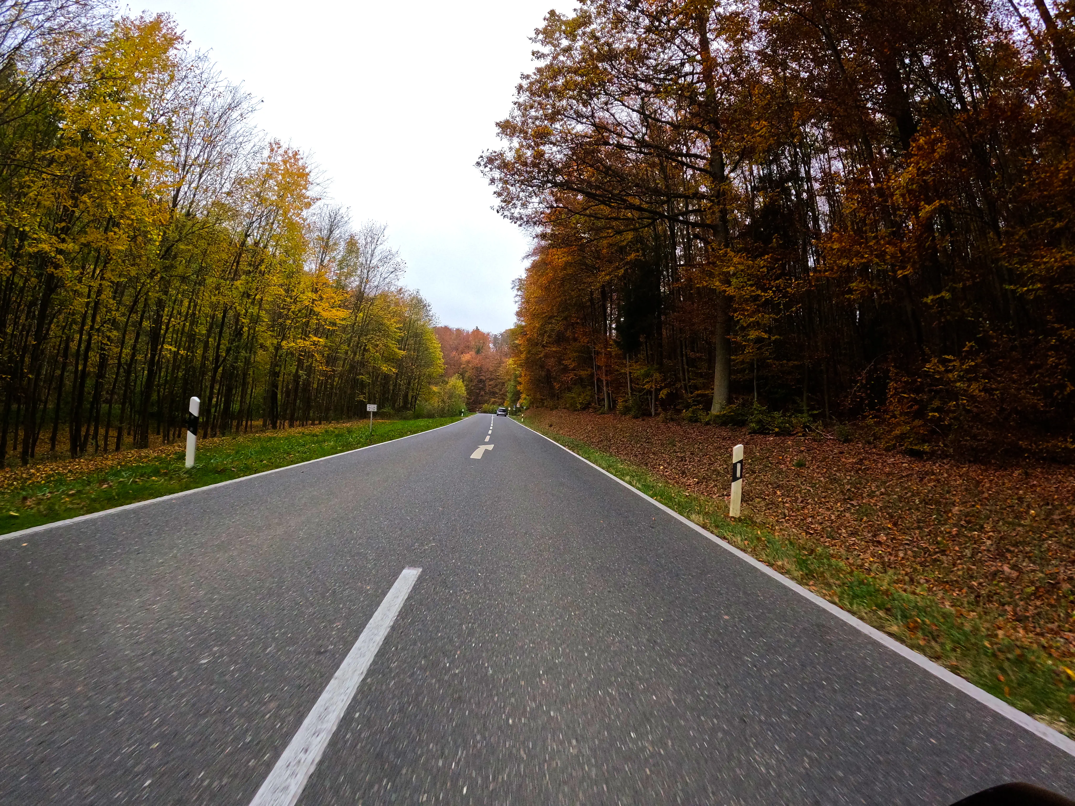 &hellip; Wälder und über &hellip;