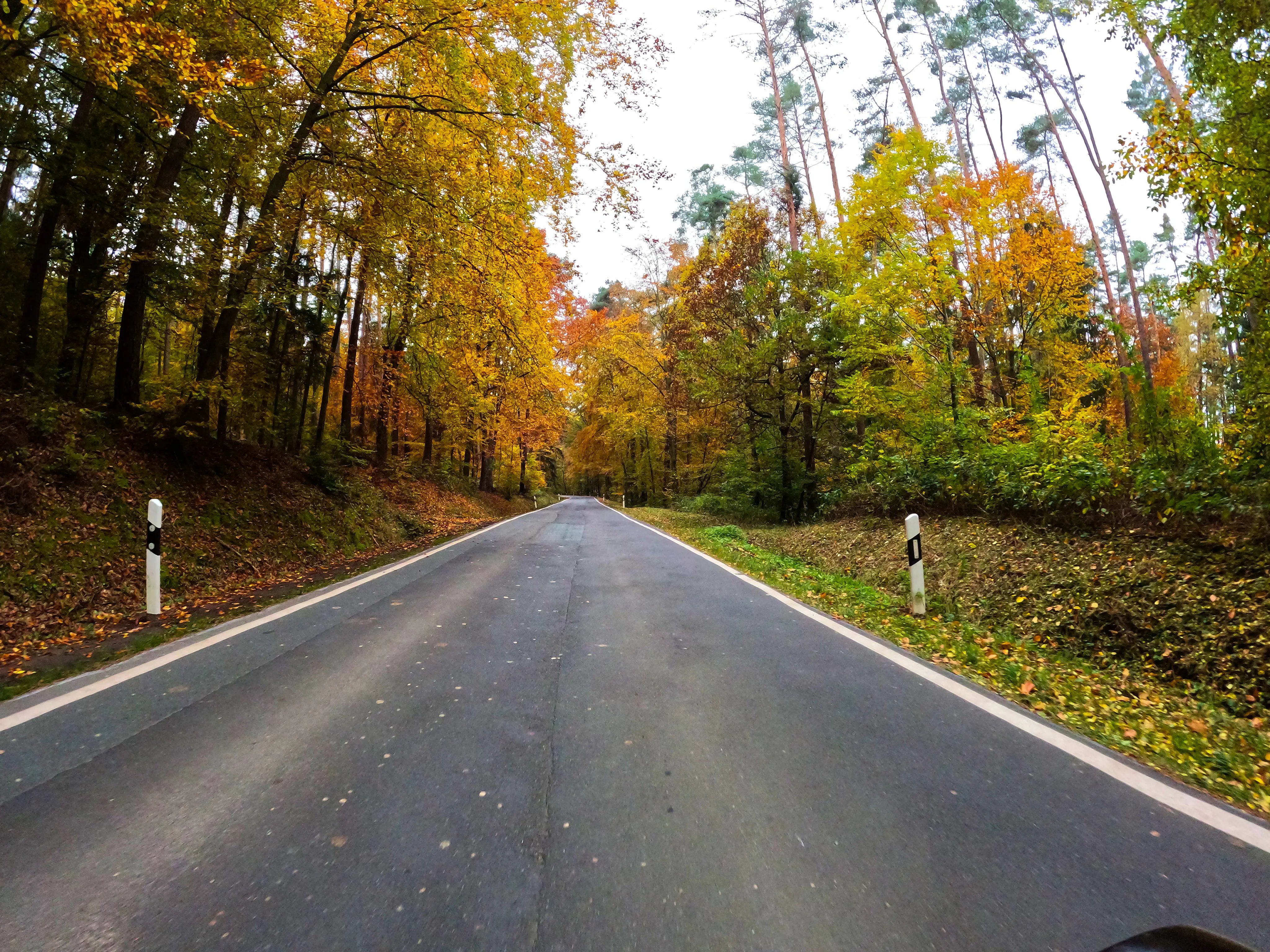 &hellip; bunte Wälder.