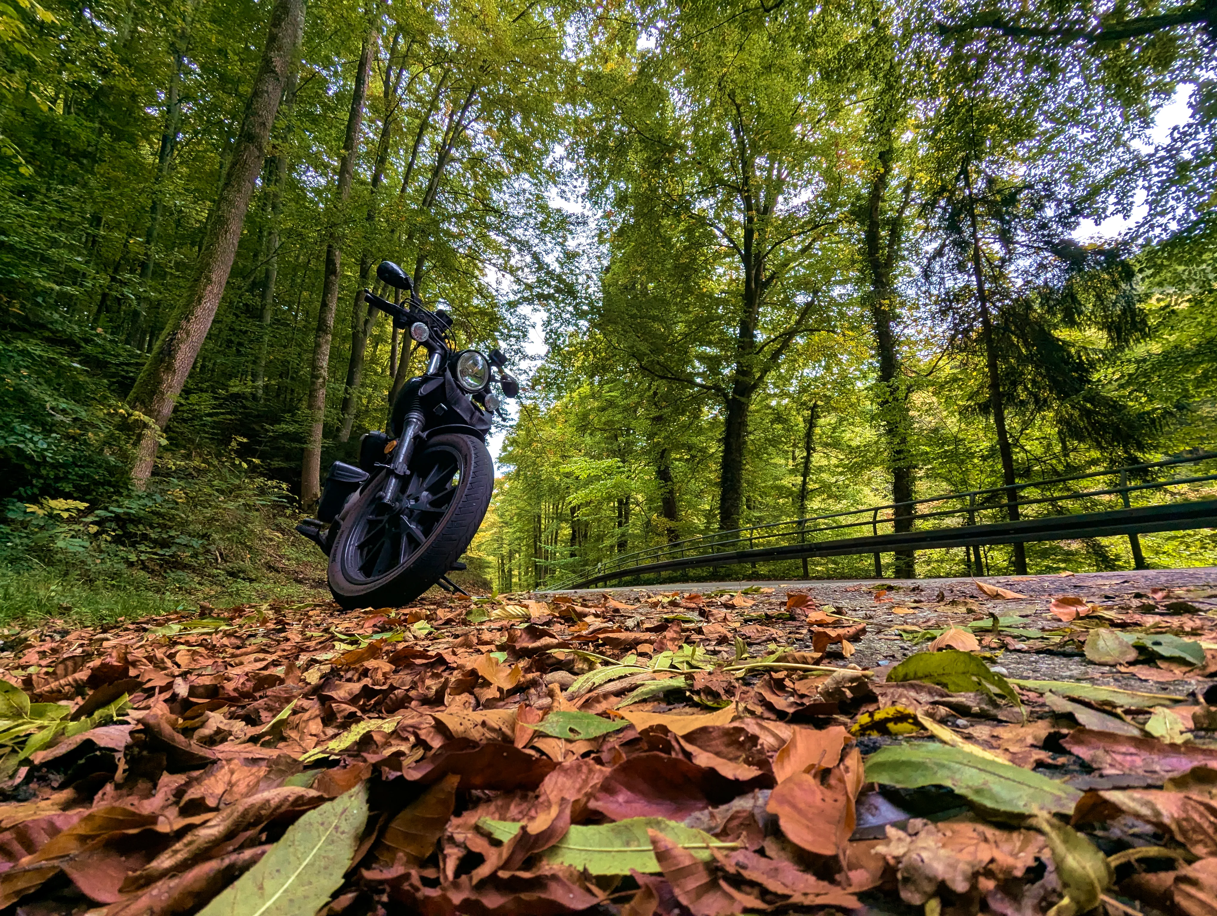 Featured image of post Herbst 2025