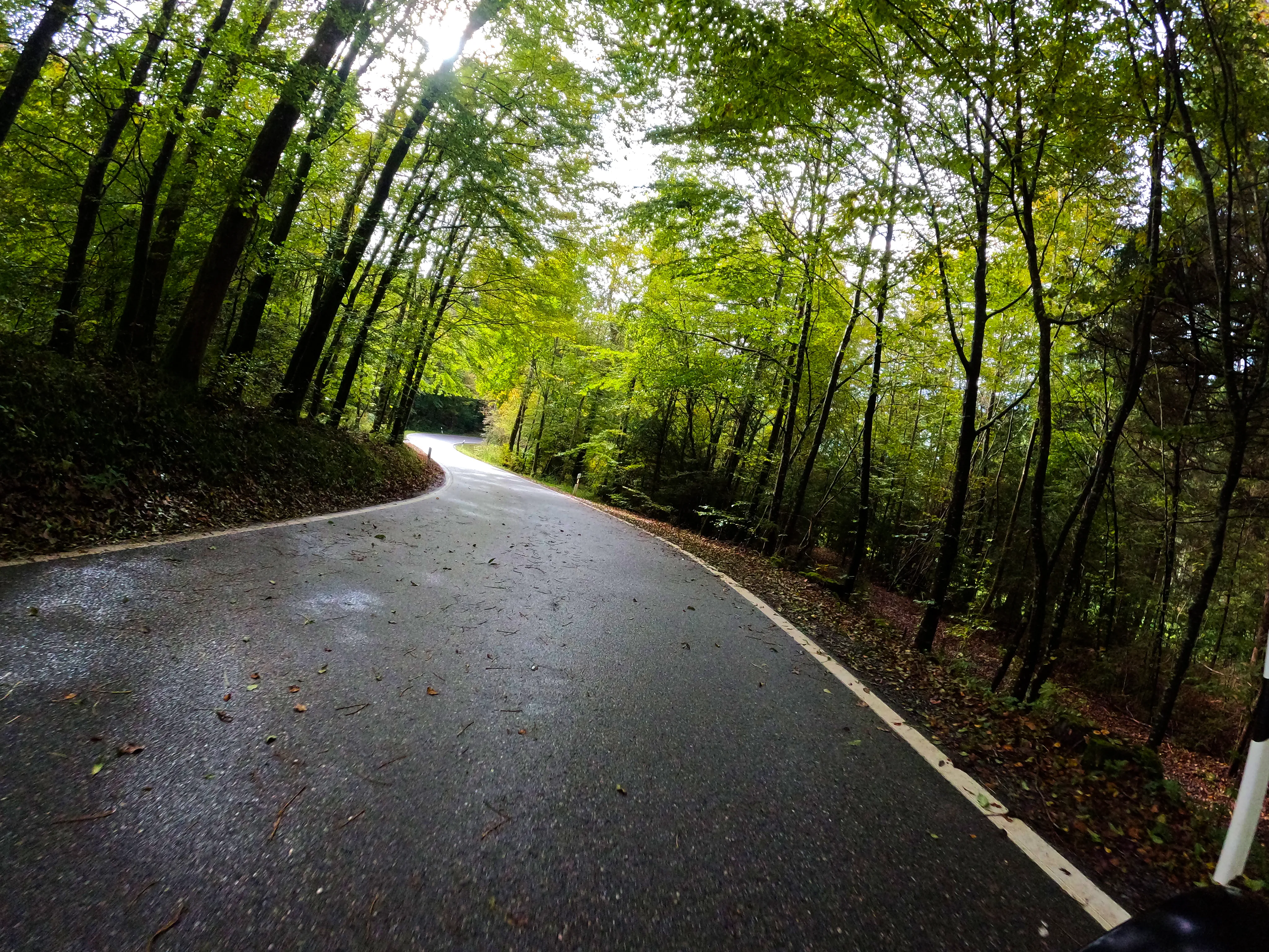 &hellip; teils feuchte &hellip;