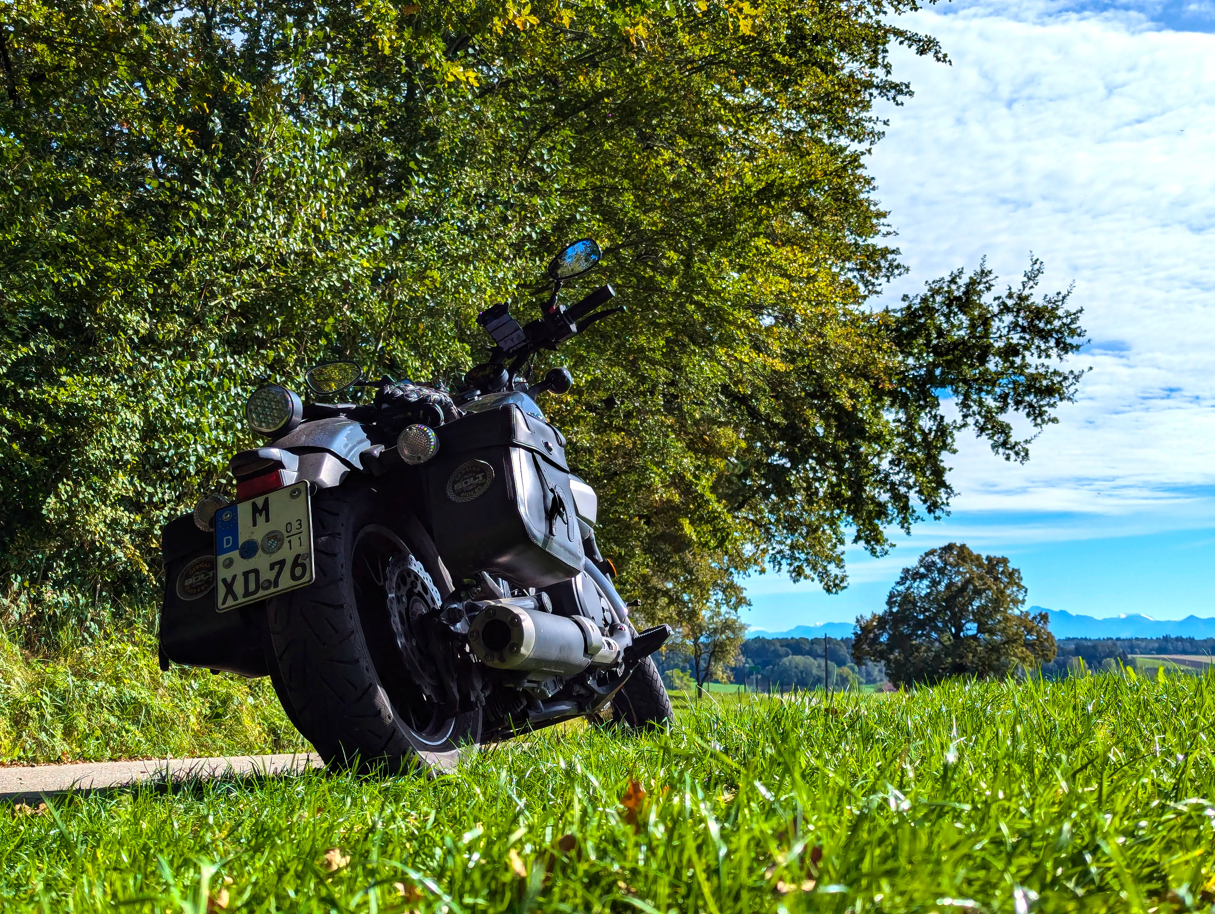 Wiese, Bolt, Bäume, Berge