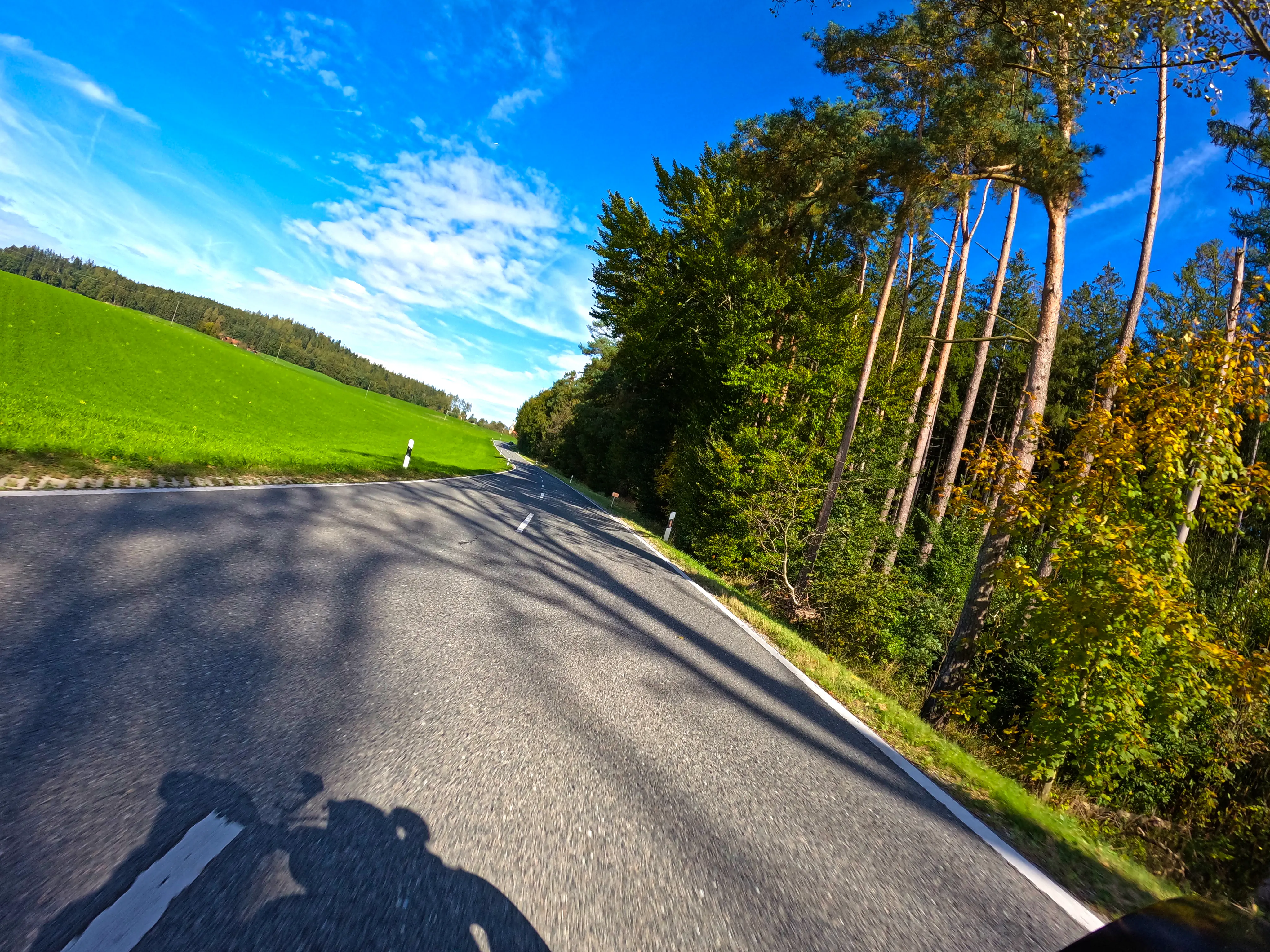 Wiese, Straße, Wald